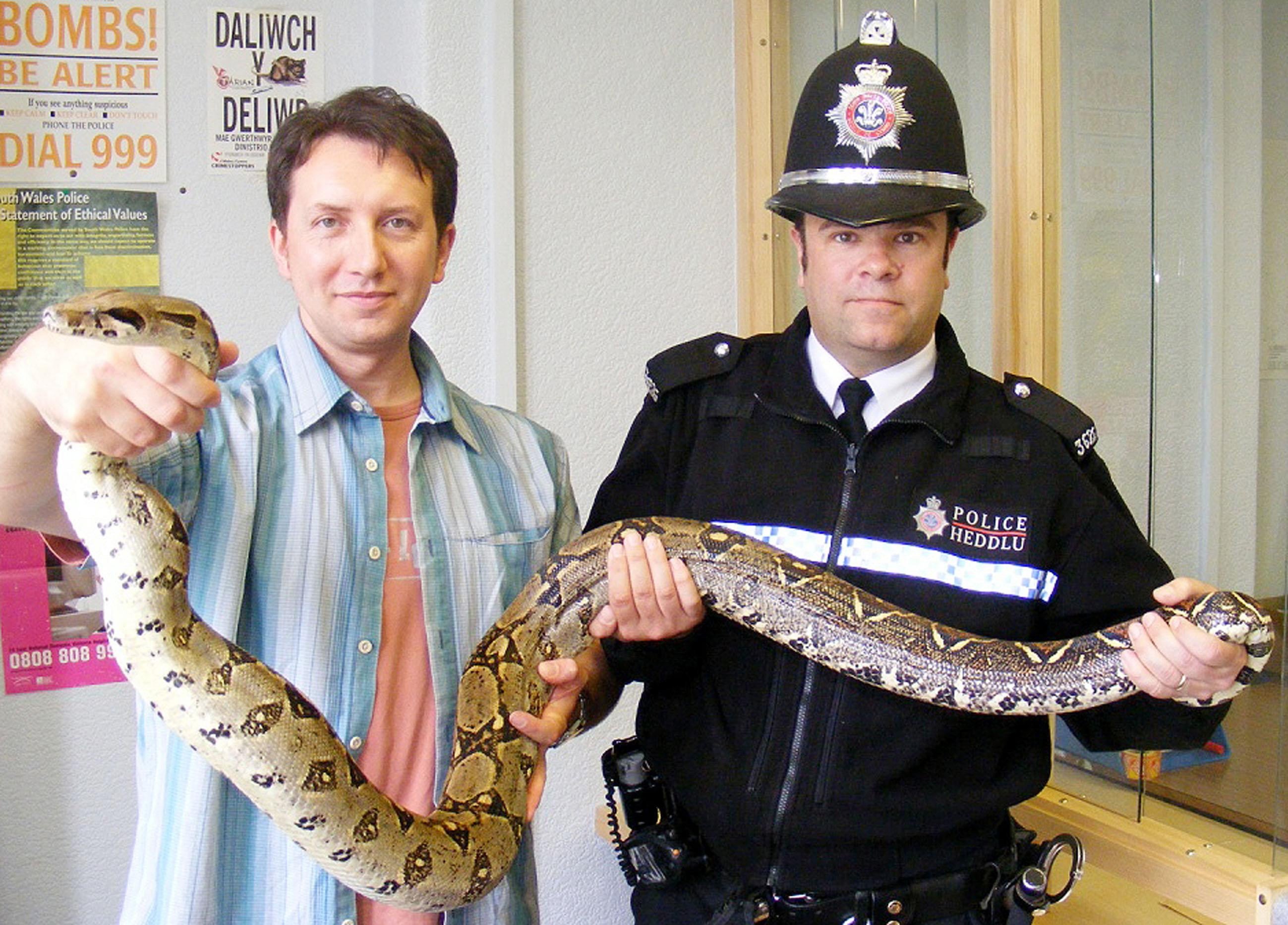 Herpetology researcher Rhys Jones Rhys and PC Mark Goulding hold a red-tailed boa constrictor that went missing from its owner’s tank in south Wales