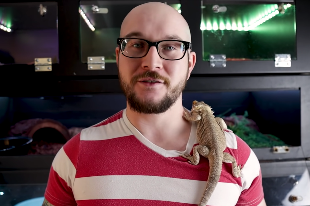 Wickens in a video on his channel ranking the top five hardest reptiles to keep as pets