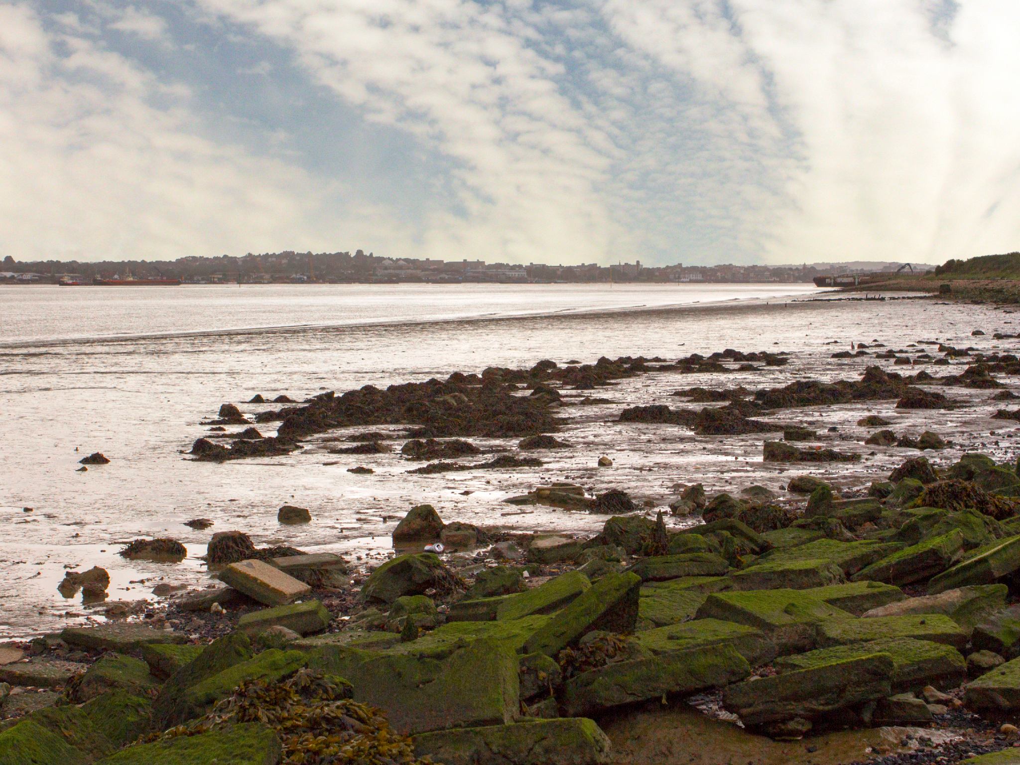 The Thames Estuary has plenty for people to see