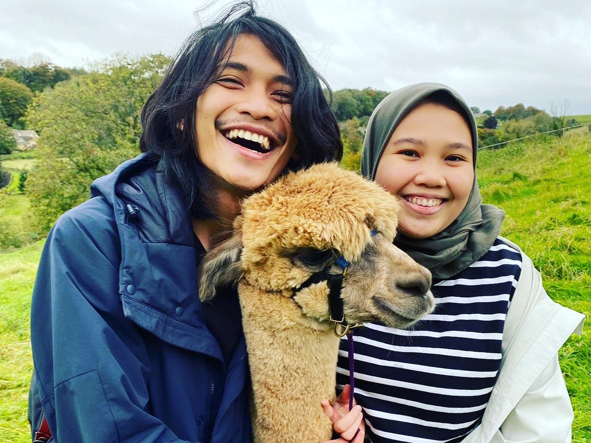 Jazz up a walk with an alpaca by your side