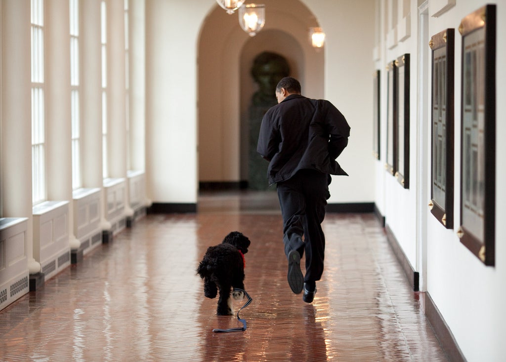 President Barack Obama took a jog in an East Wing hallway with then-pup Bo in 2009 and Melania Trump unveiled holiday trimmings there a decade later