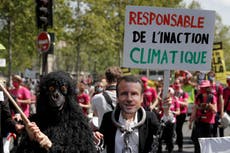 French demonstrators demand more action on climate change