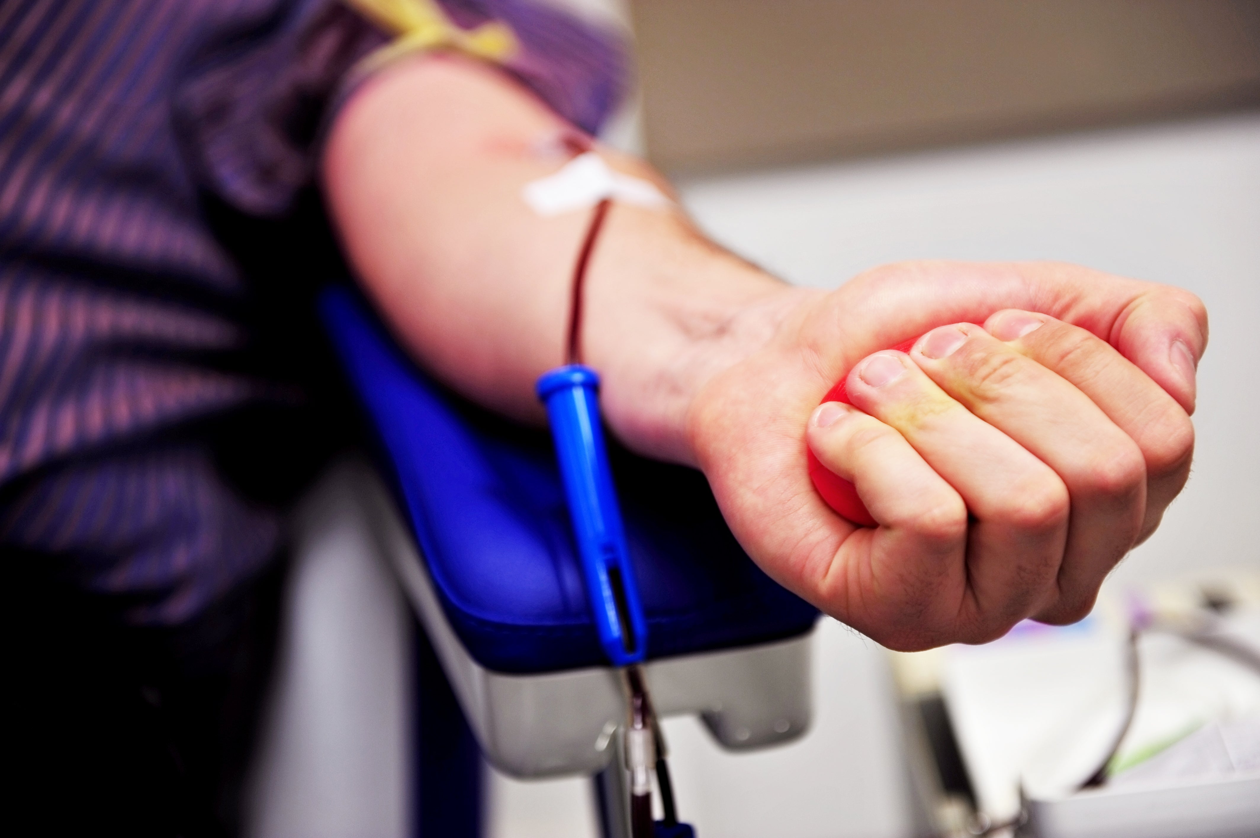 A donor squeezes a rubber ball while giving blood