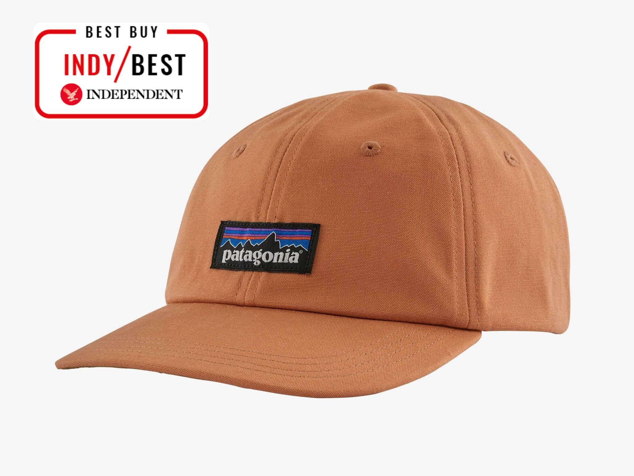 Patagonia p-6 label trad cap indybest