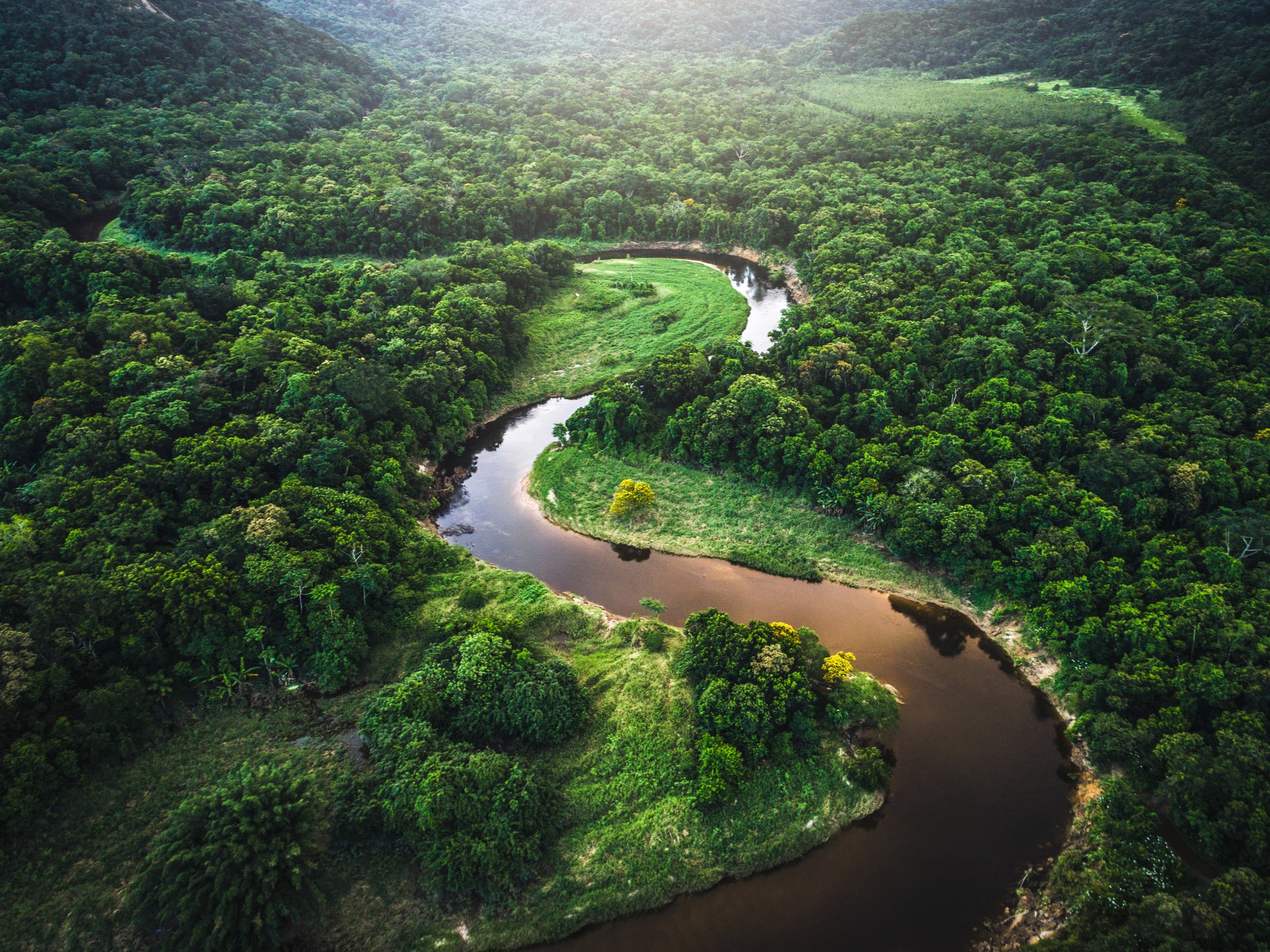 An area roughly the size of the Netherlands has regrown in Brazil’s Atlantic Forest since 2000