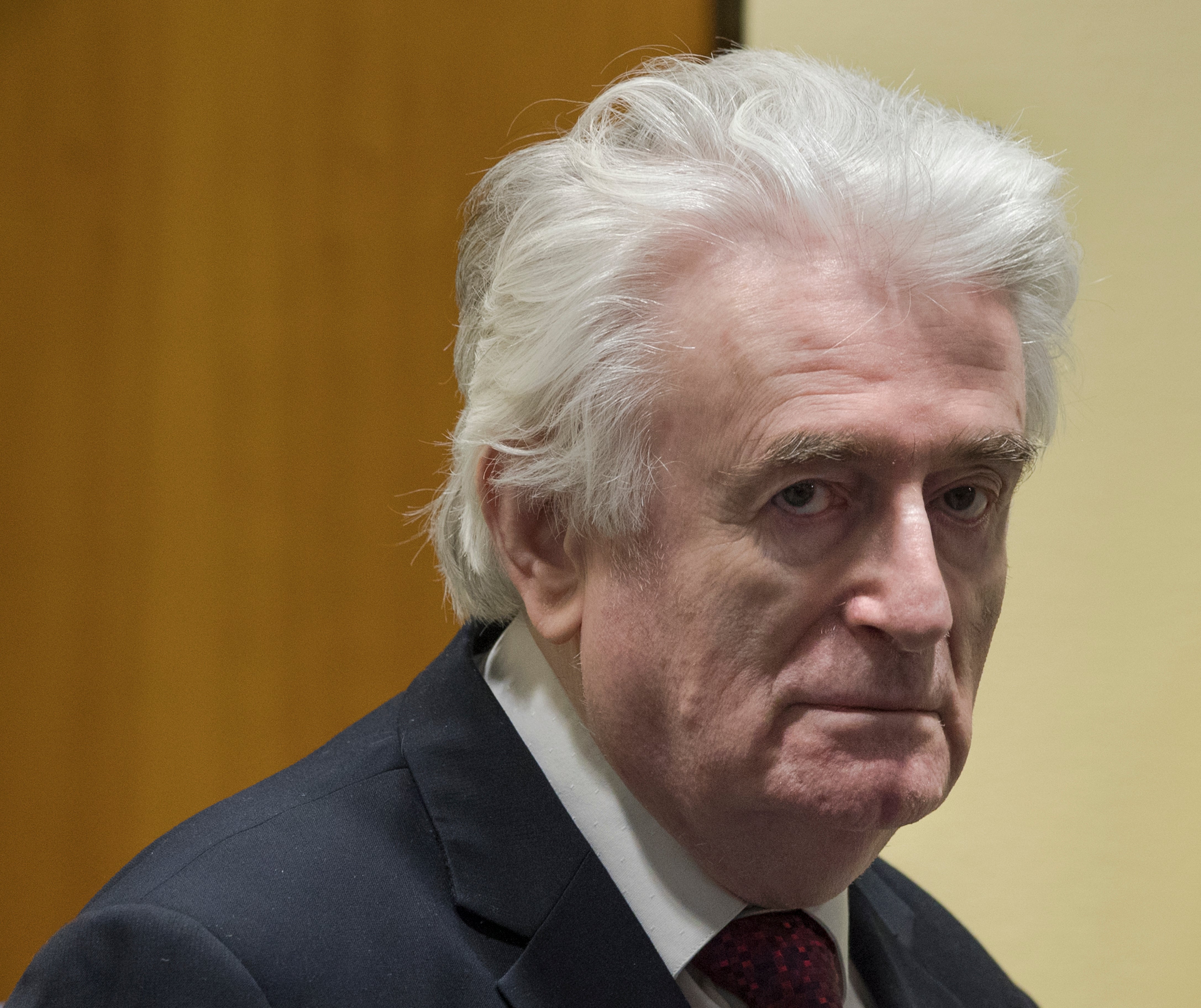 Britain Karadzic