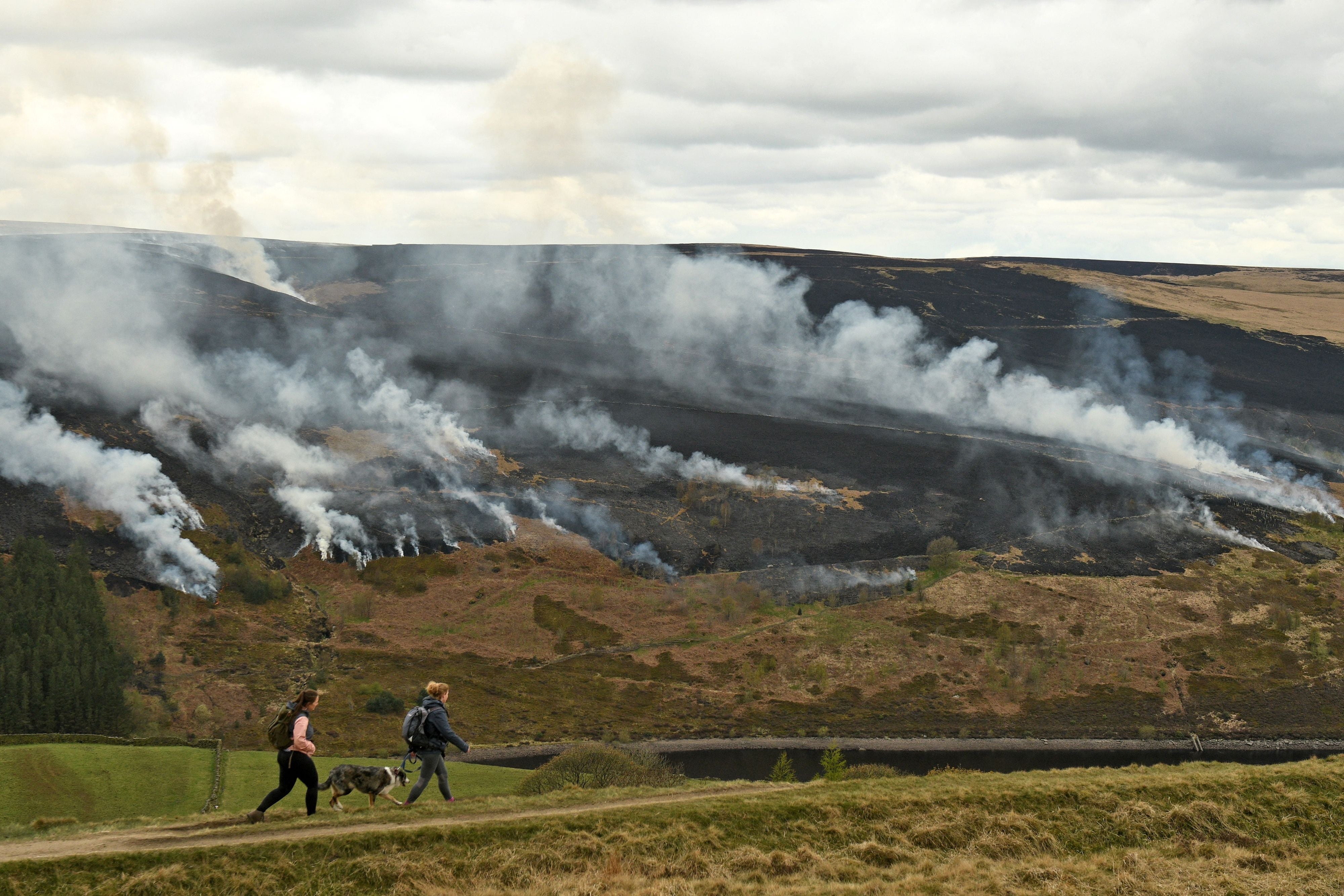 The government has been ‘much too slow’ to reverse damage to the country’s poorly protected peatlands, advisers say