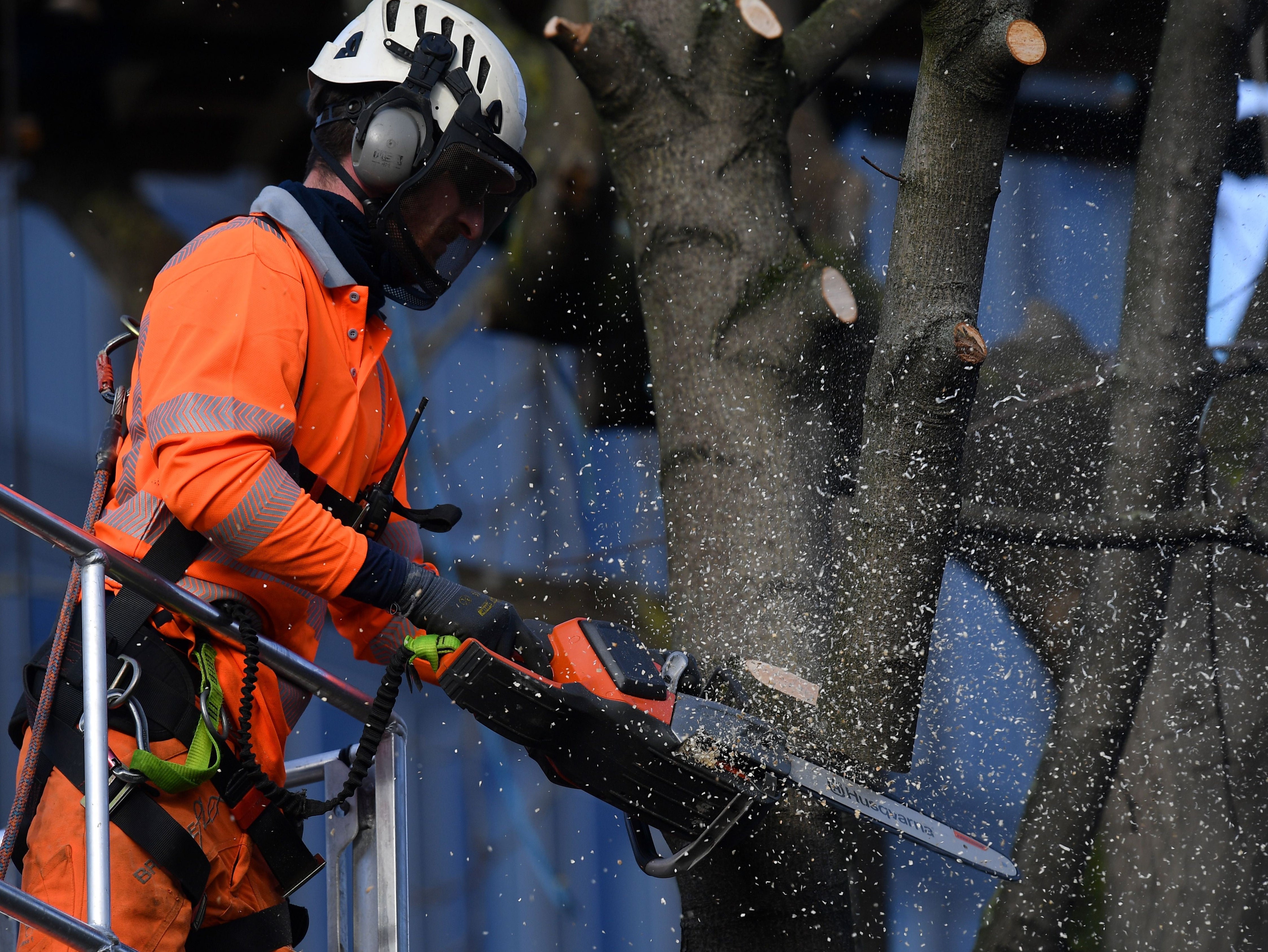 Habitat destruction is one factor in the sharp drop in animal and bird populations