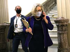 Liz Cheney blasts Paul Gosar’s Capitol riot comments, saying she helped him with his gas mask during attack