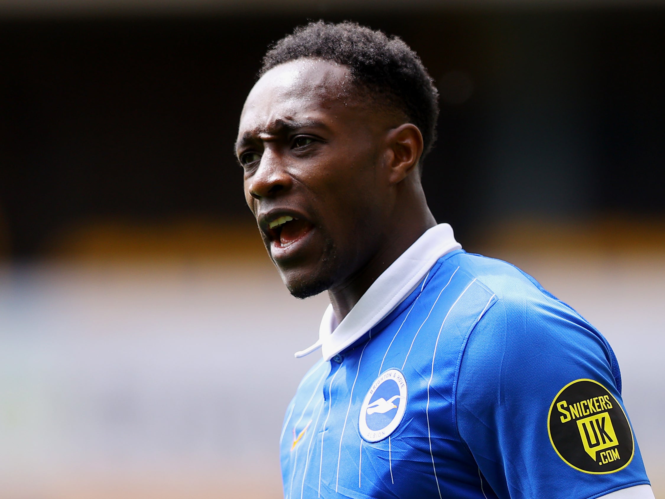 Brighton striker Danny Welbeck