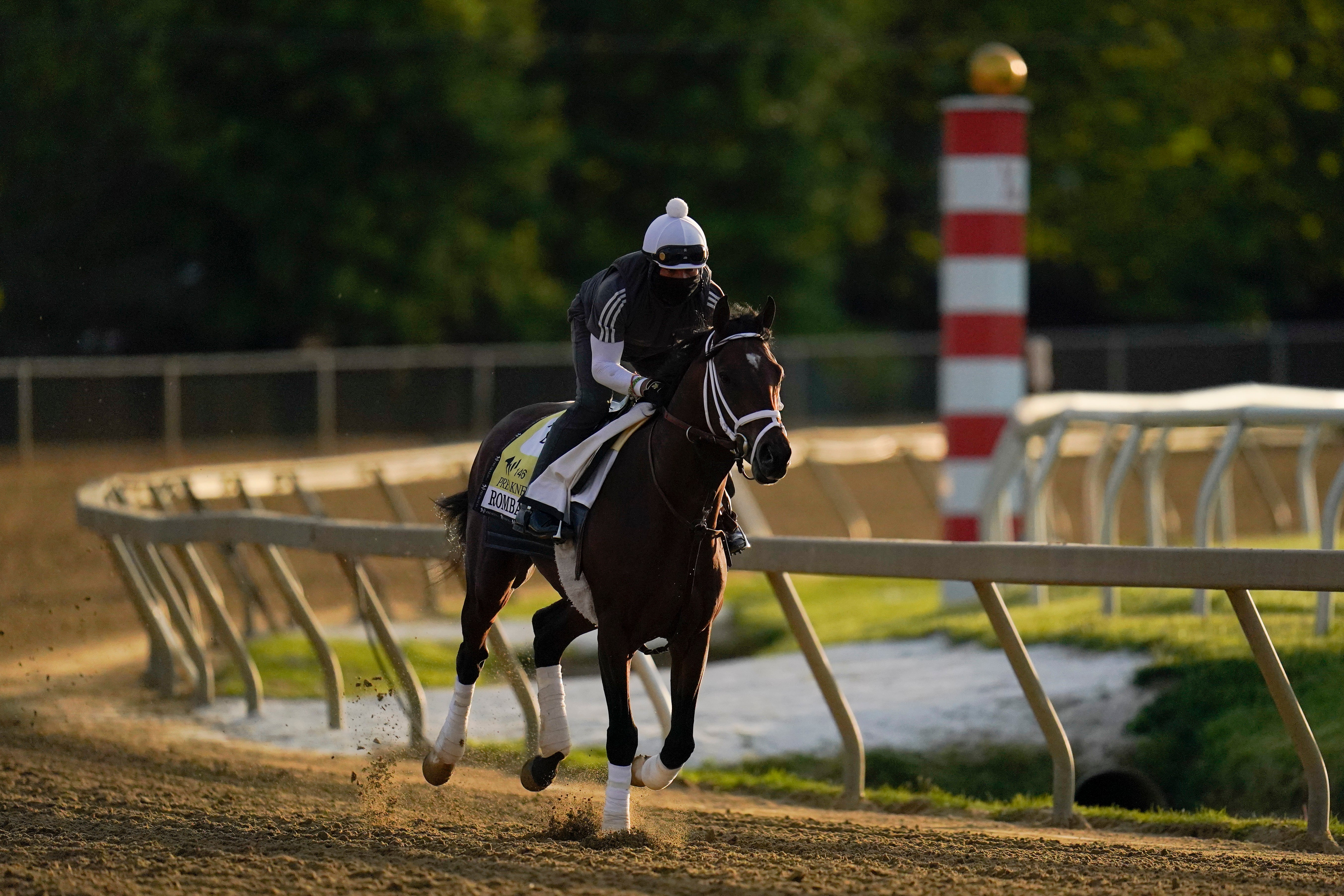 Preakness Horse Racing