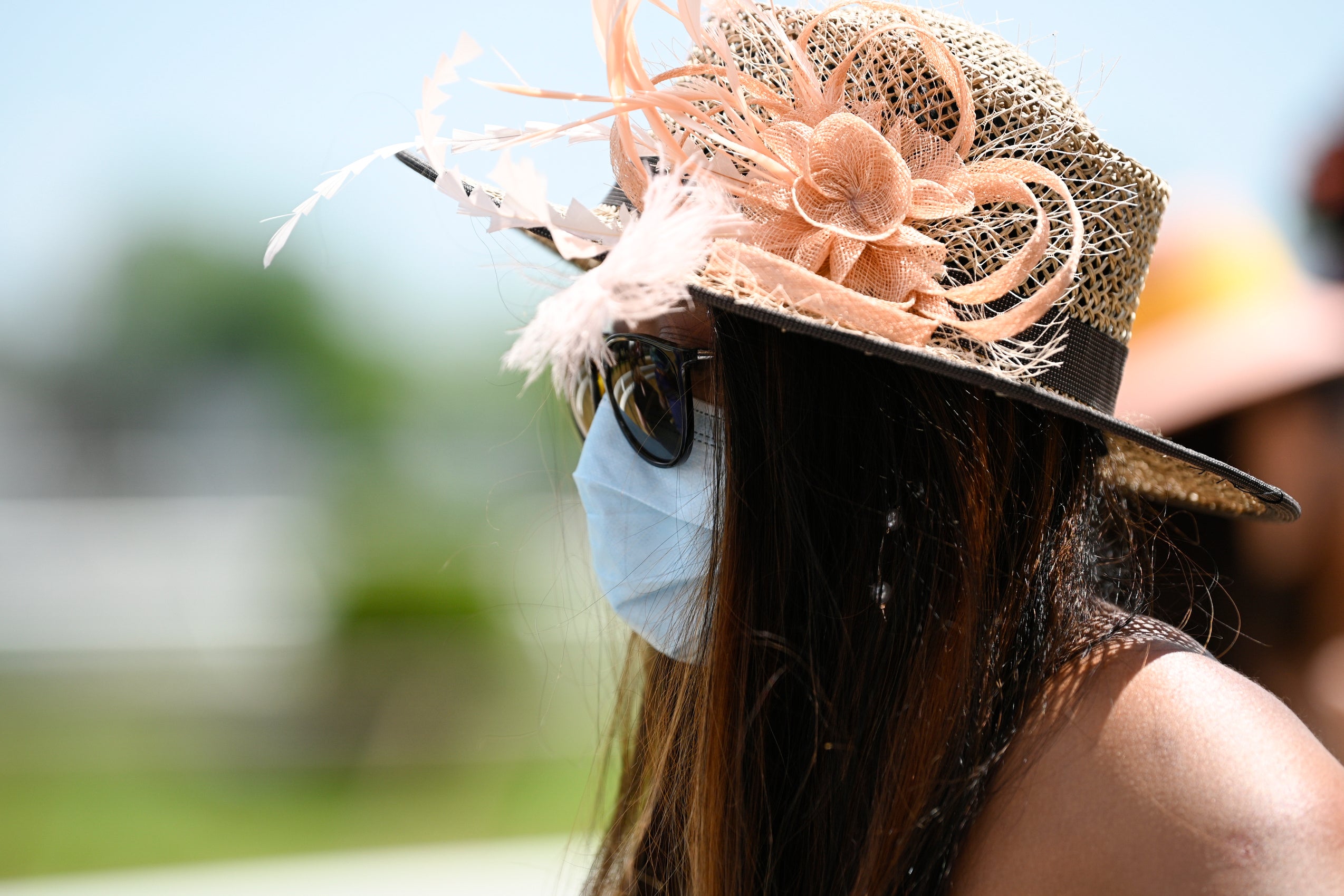 Preakness Stakes Horse Race