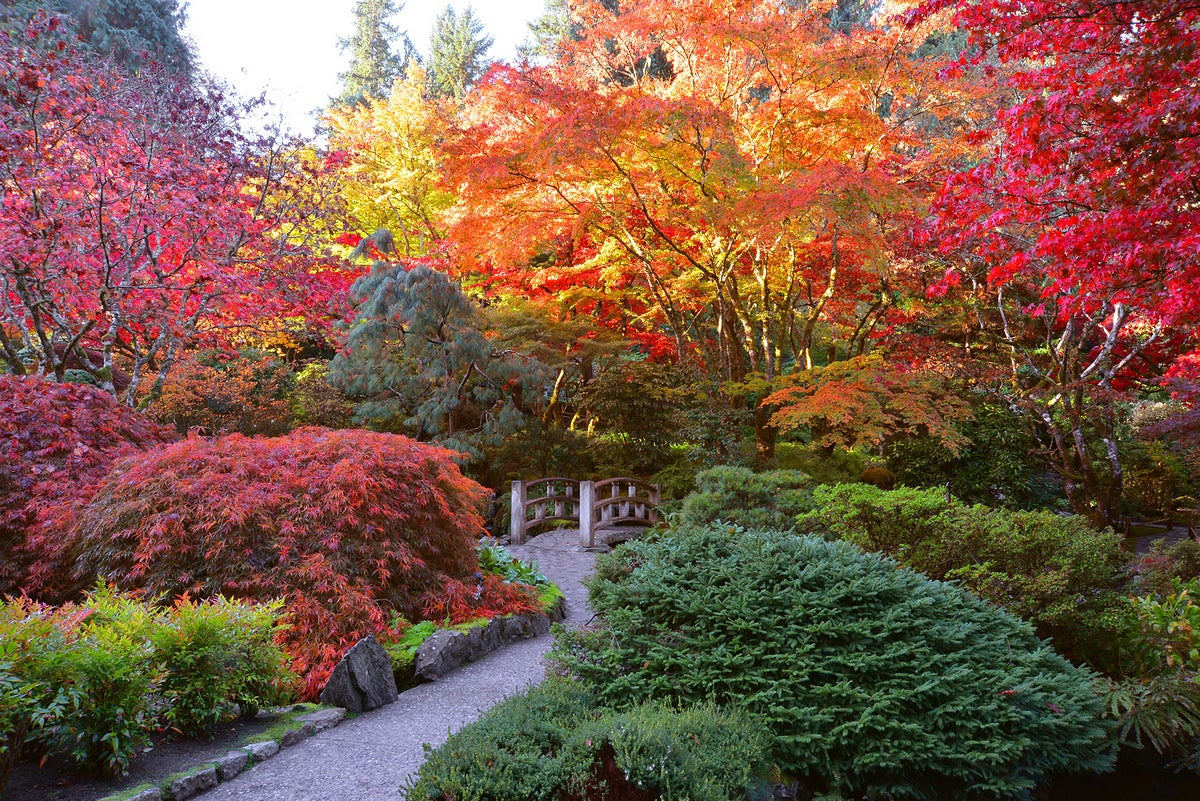 The Butchart Gardens, Victoria