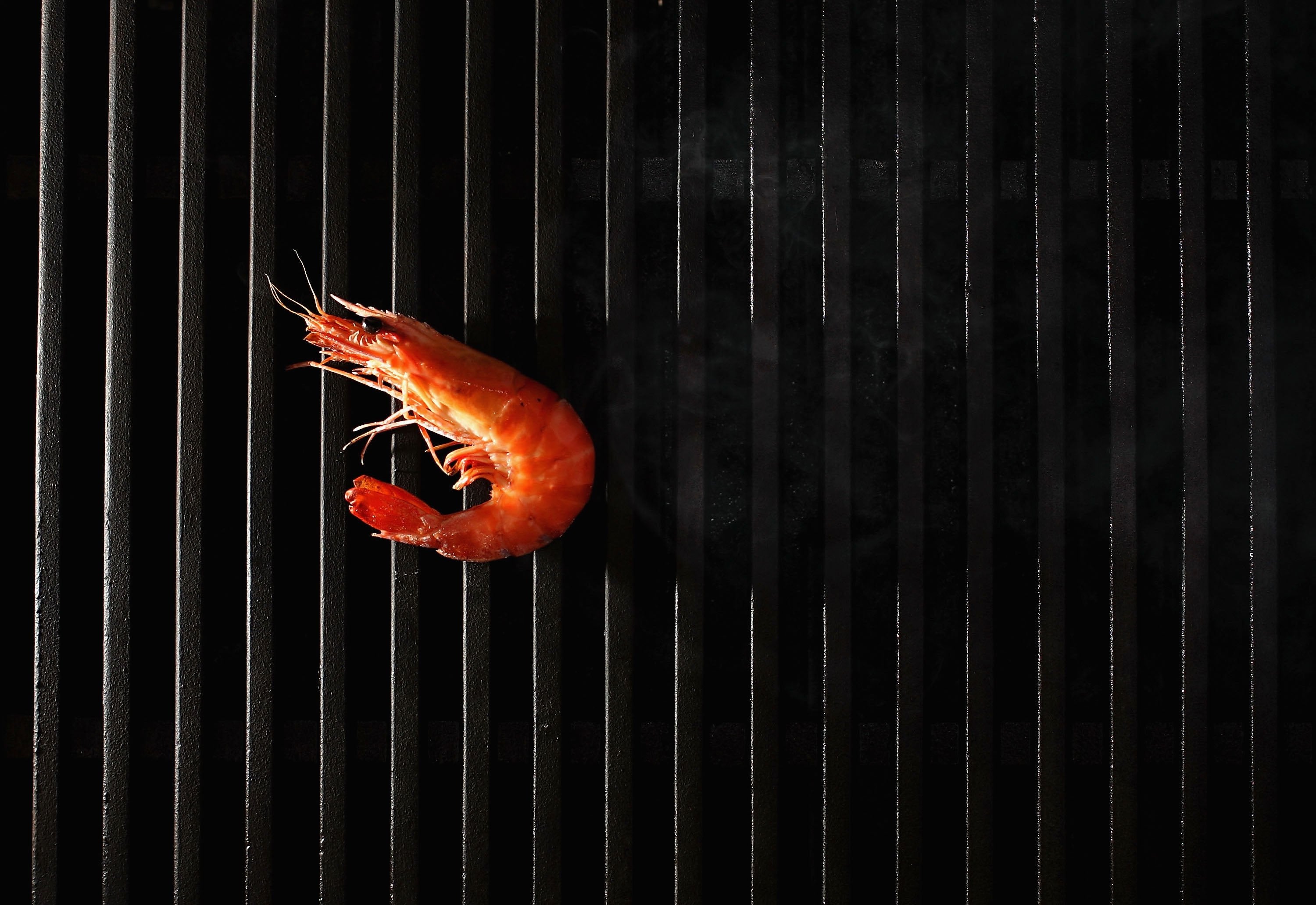 SYDNEY, NSW - JANUARY 25: A king prawn cooks on a barbeque January 24, 2006 in Sydney Australia. Australian comedian Paul "Crocodile Dundee" Hogan coined the massively successful catchphrase "Throw another shrimp on the barbie" in an international advertising campaign for the Australian Tourist Commission in the 1980's. The nation will celebrate Australia Day on January 26. (Photo Illustration by Ian Waldie/Getty Images)