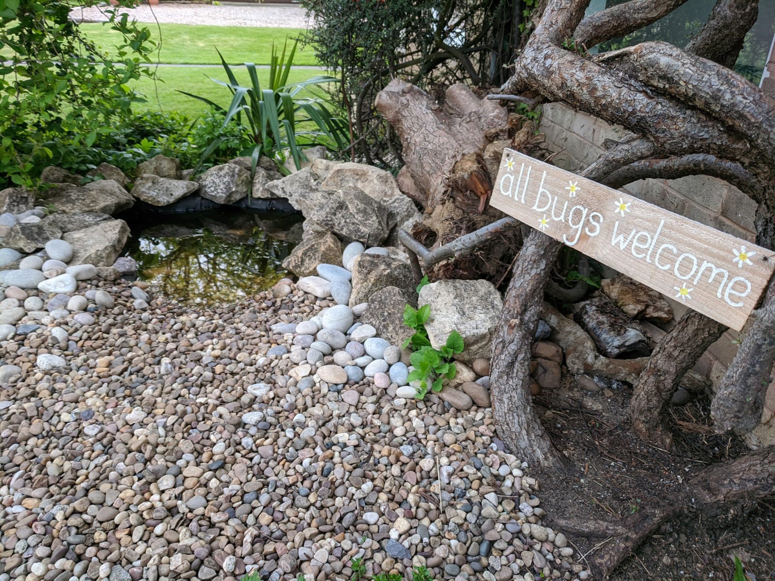 A DIY mini pond (Garden Organic/PA)