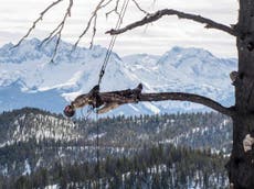 Matthew Barney: Redoubt, Hayward Gallery review – Barney’s cosmic hunt-myth film succeeds through sheer conviction