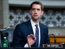 Republican Senator Tom Cotton insists GOP will back Ukraine in new Congress despite pro-Putin conservatives