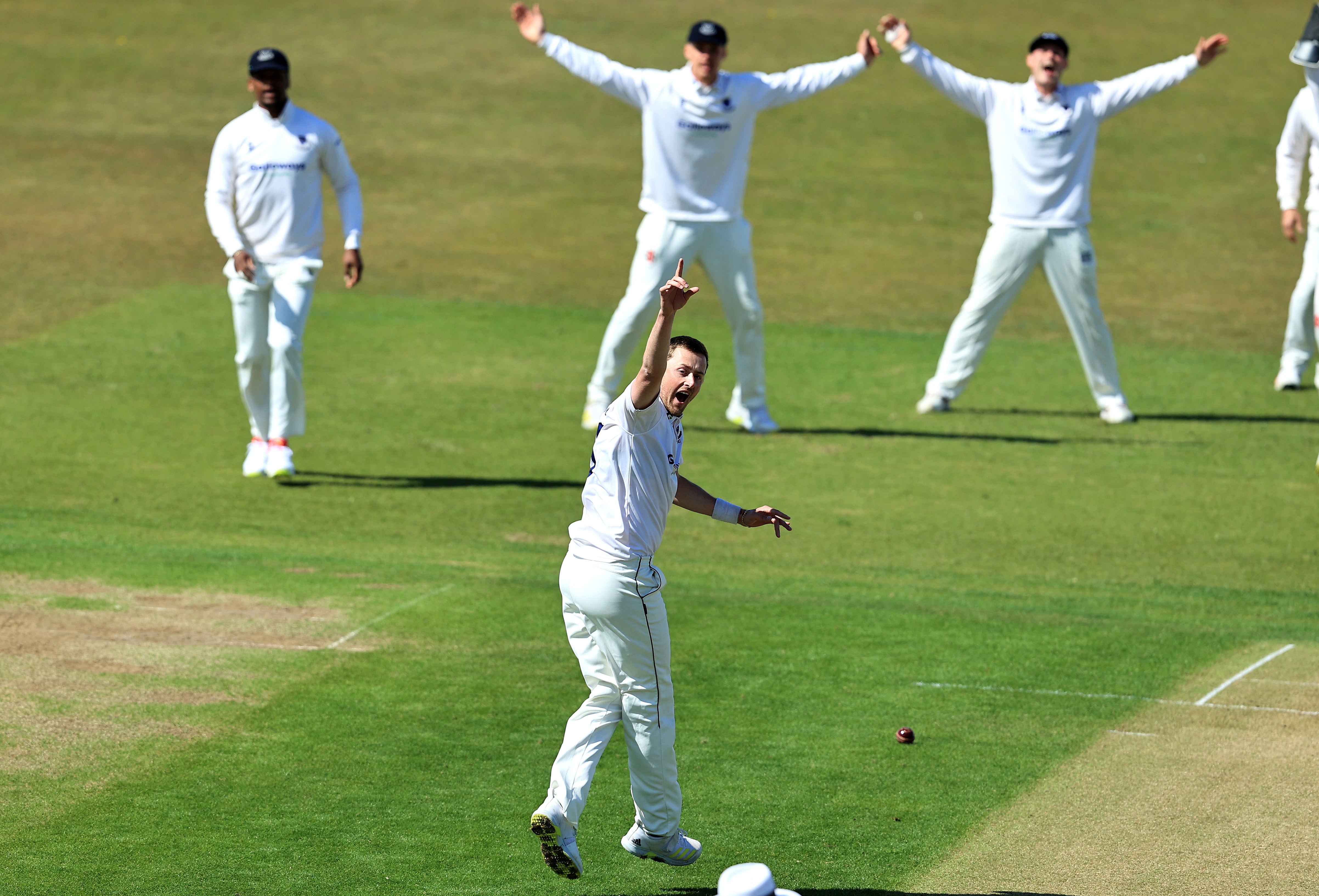 Sussex seamer Ollie Robinson