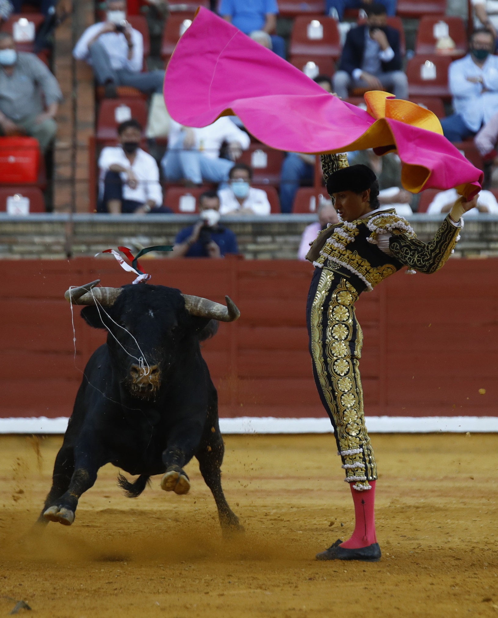 Spanish bullfighter Roca Rey in action during a bullfight on occasion of the Cordoba Fair in Cordoba, Andalusia