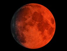 Blood supermoon May 2021: What is rare lunar spectacle and when will it appear? 