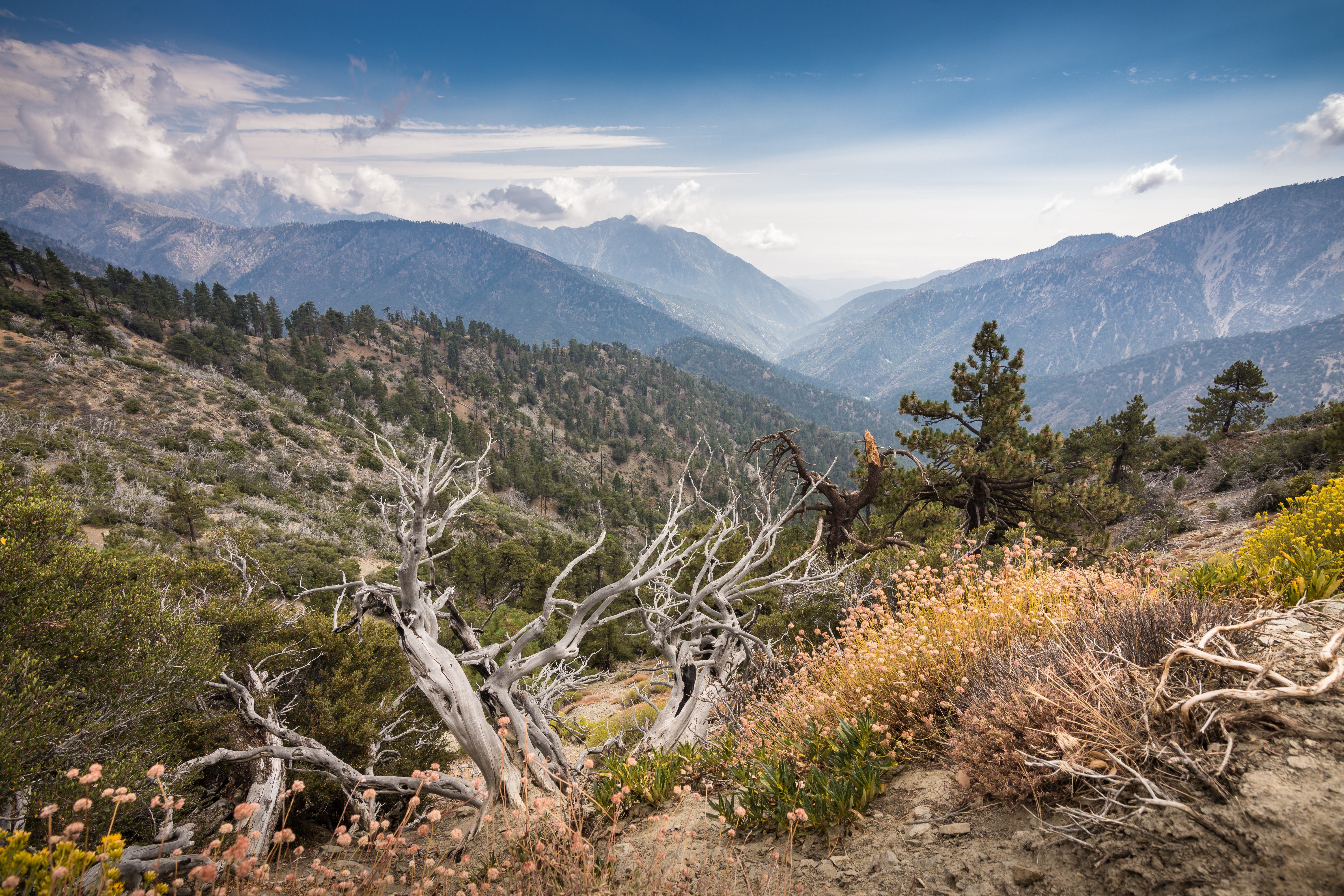 George Null was picked up authories after getting lost on a trail destroyed by fire