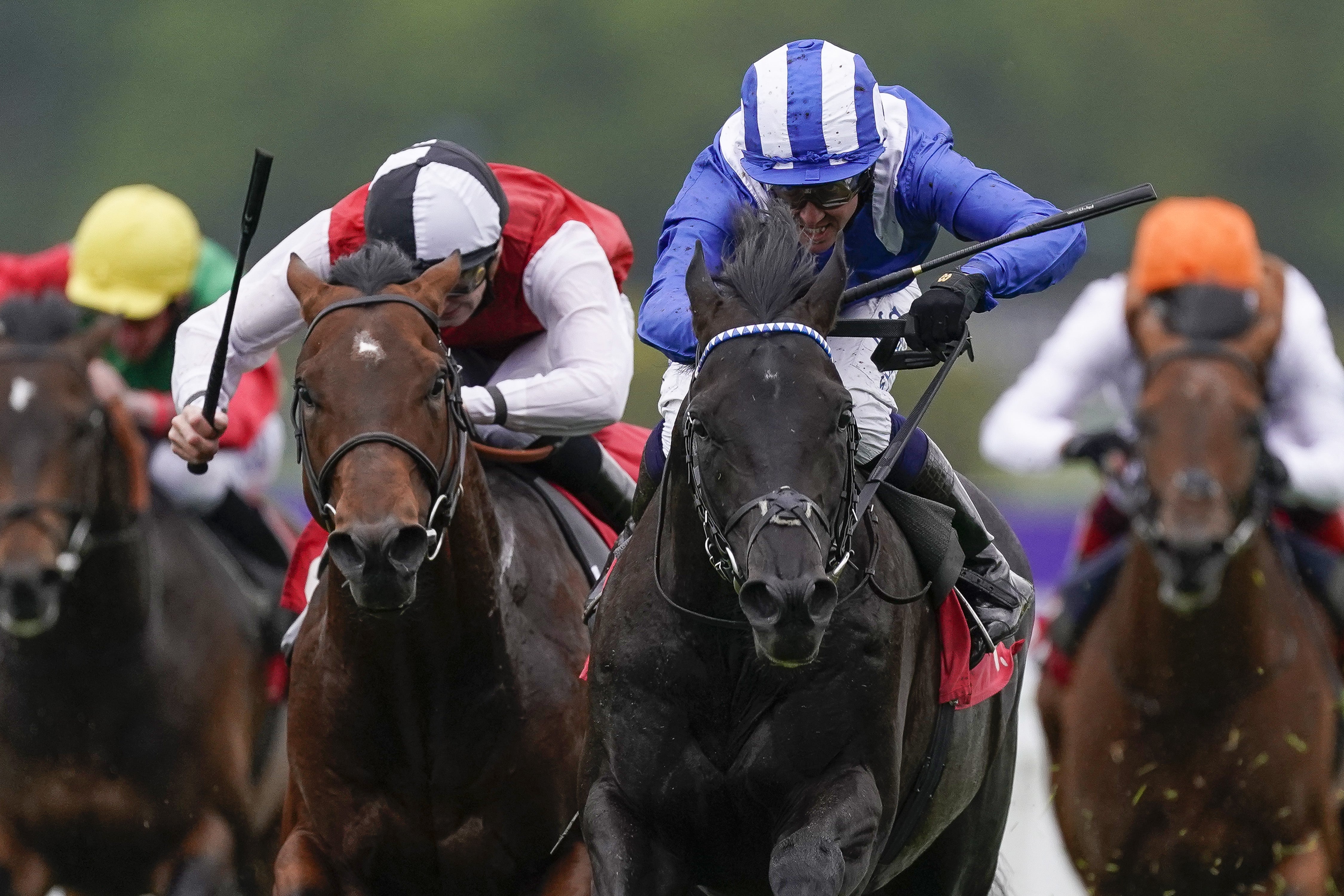 Mostahdaf won the Heron Stakes at Sandown