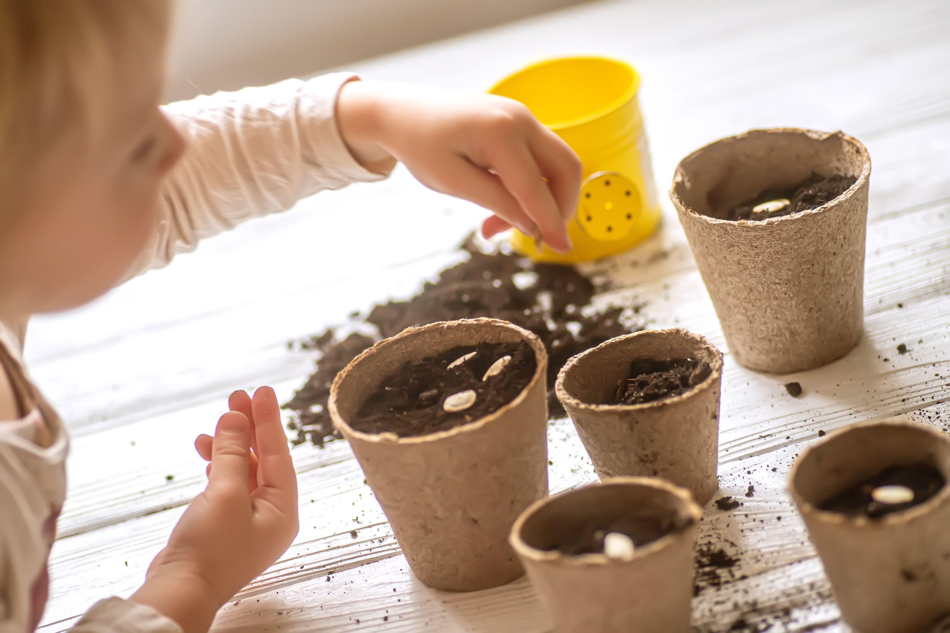 A child sowing courgette seeds (Alamy/PA)