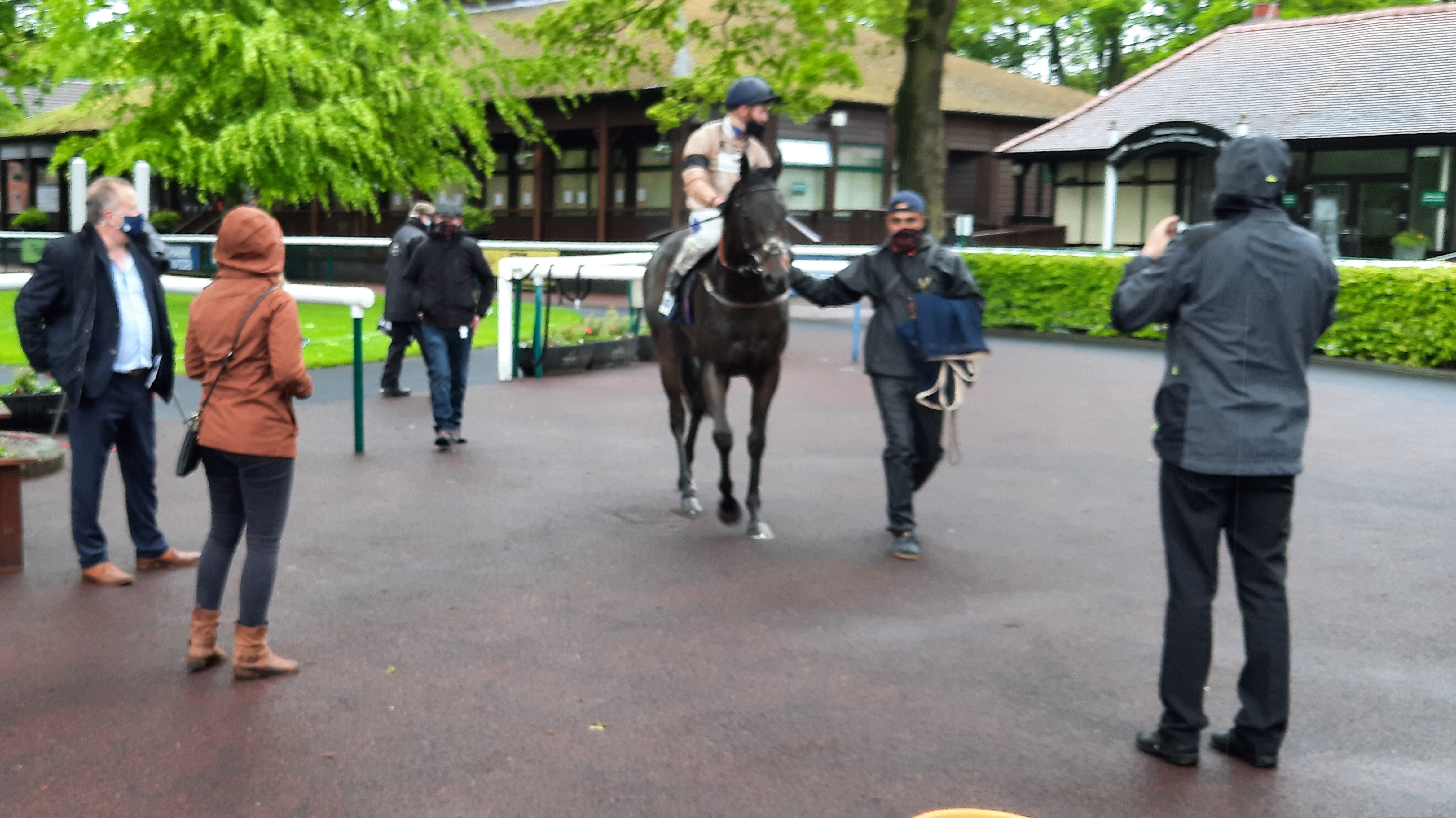 Twilight Spinner in the Haydock winner's enclosure