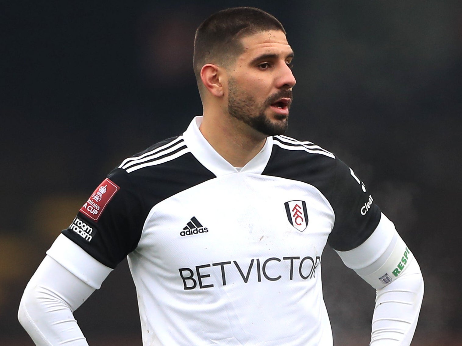 Aleksandar Mitrovic