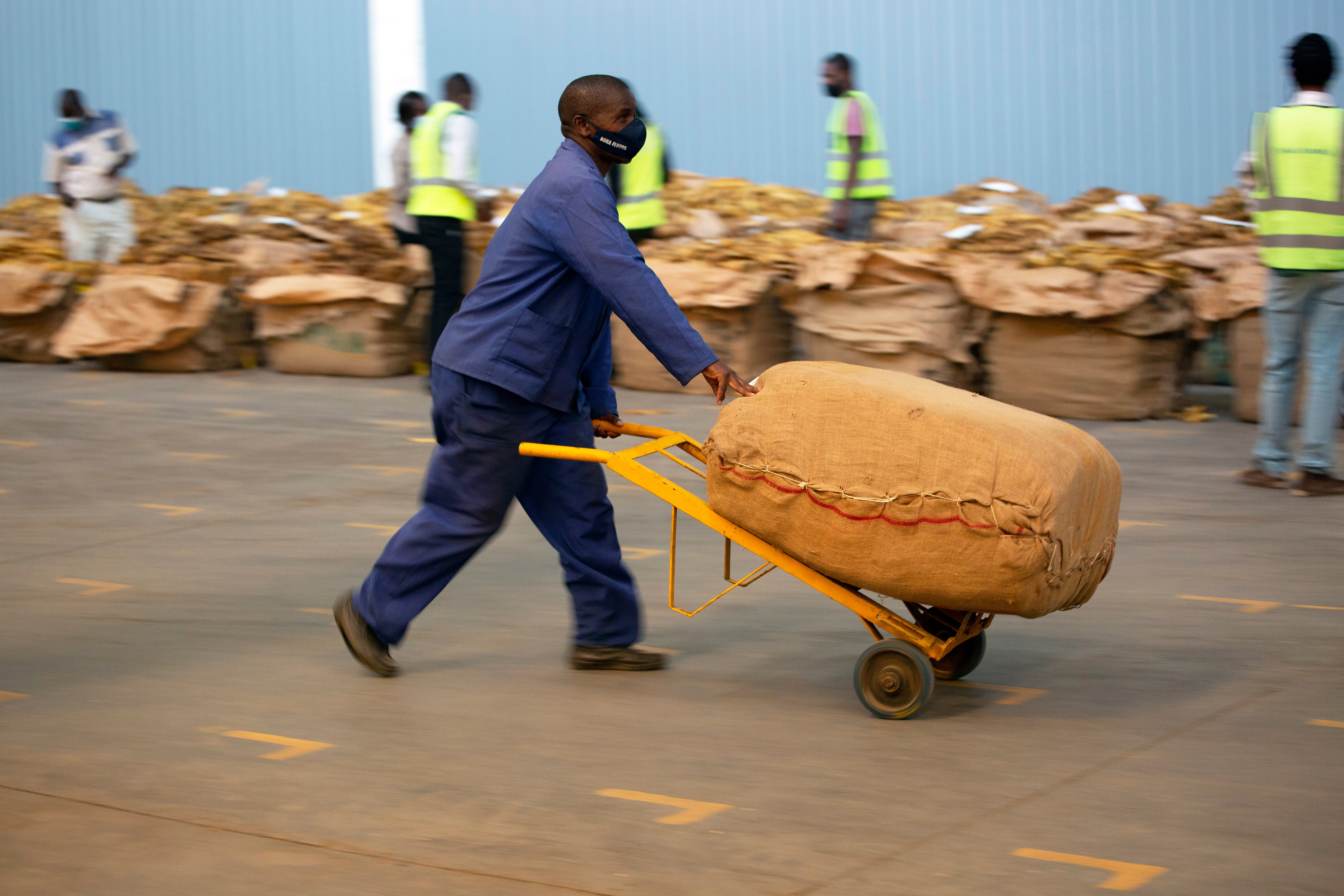 Zimbabwe Tobacco