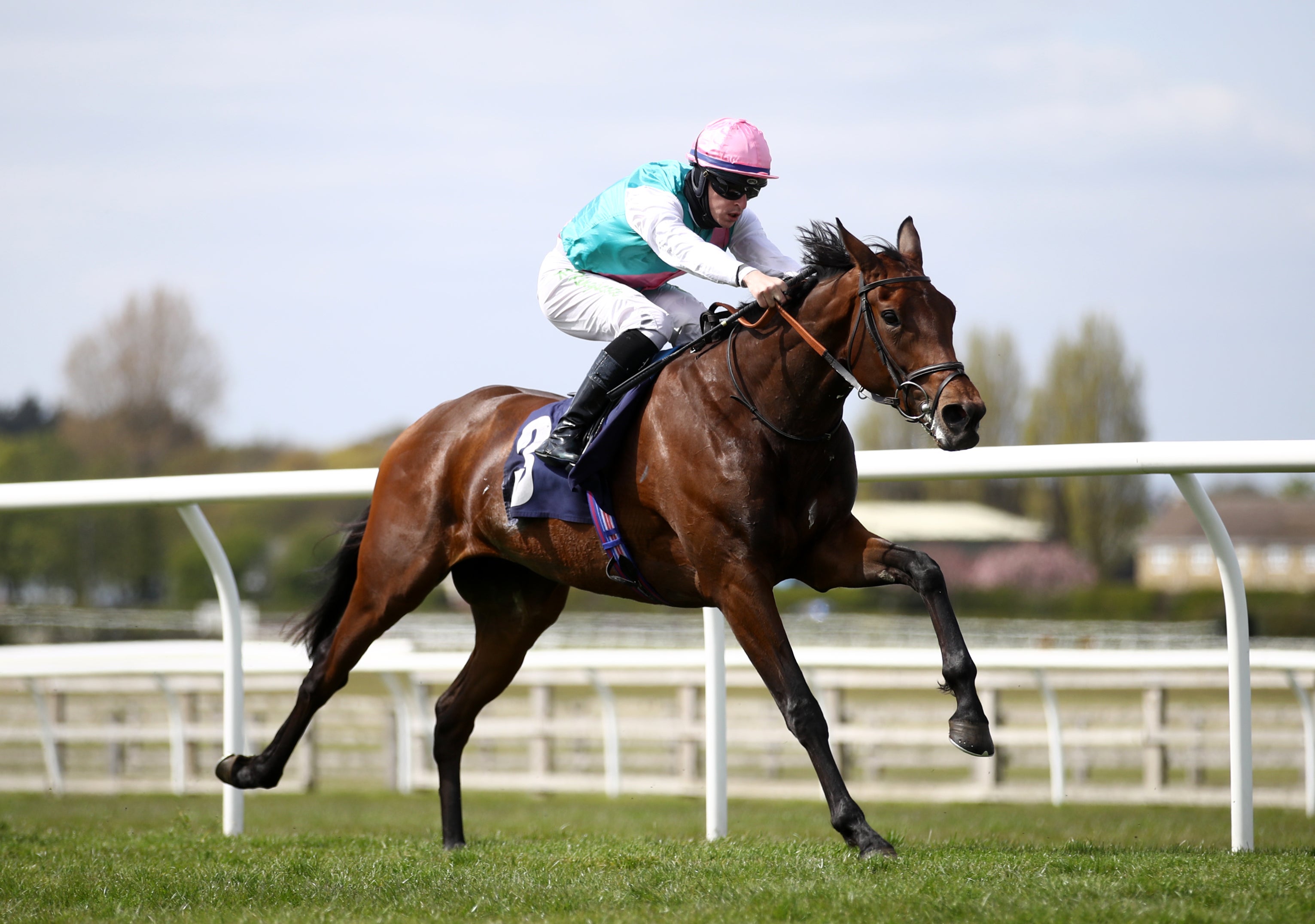 Noon Star winning at Wetherby