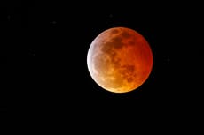 Blood moon - live: Rare spectacle as super flower moon to combine with Lunar Eclipse