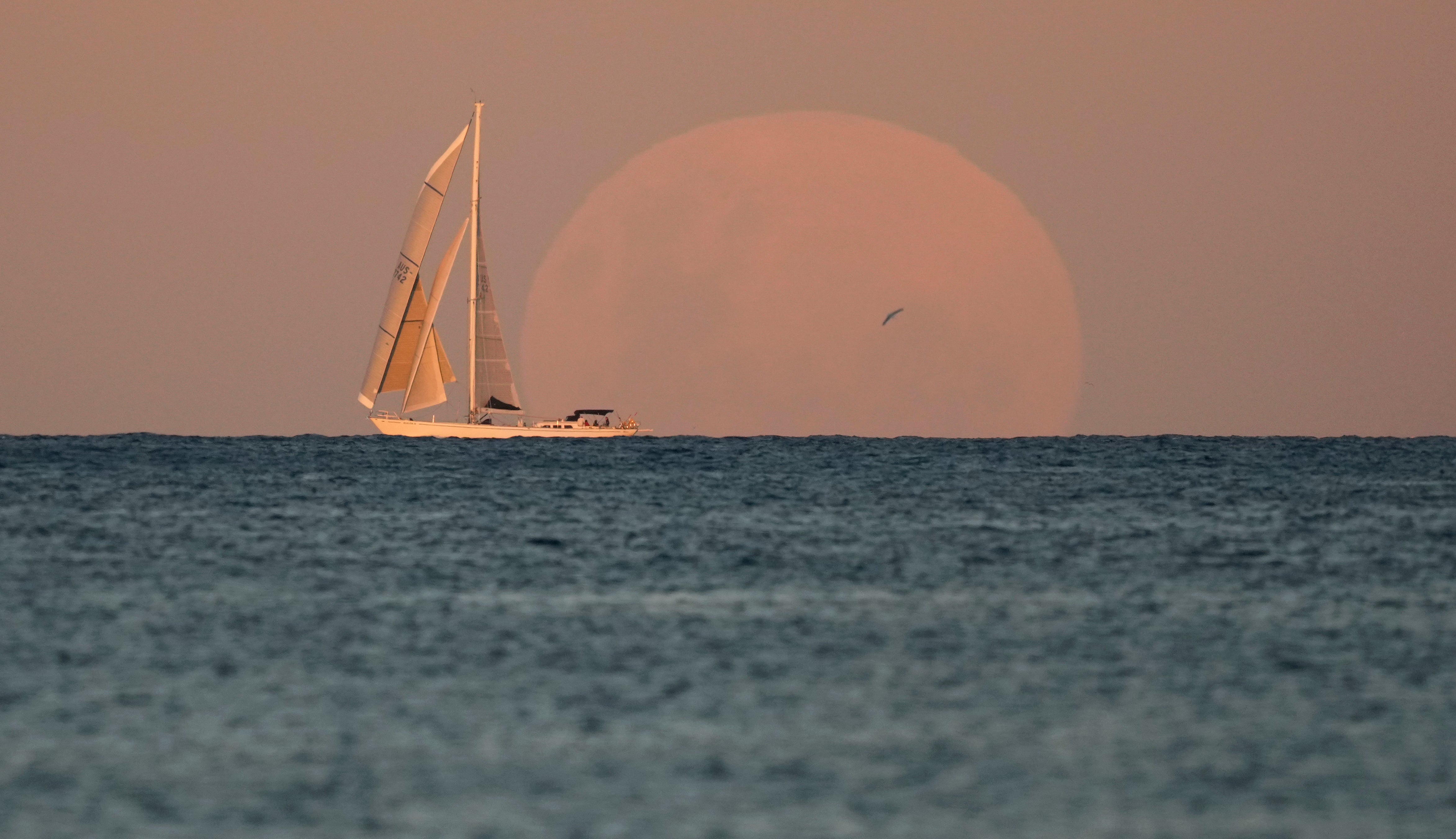 APTOPIX Lunar Eclipse Australia