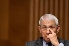 Trump official suggested to Fauci that they use ‘doggie cones’ to solve coronavirus PPE crisis