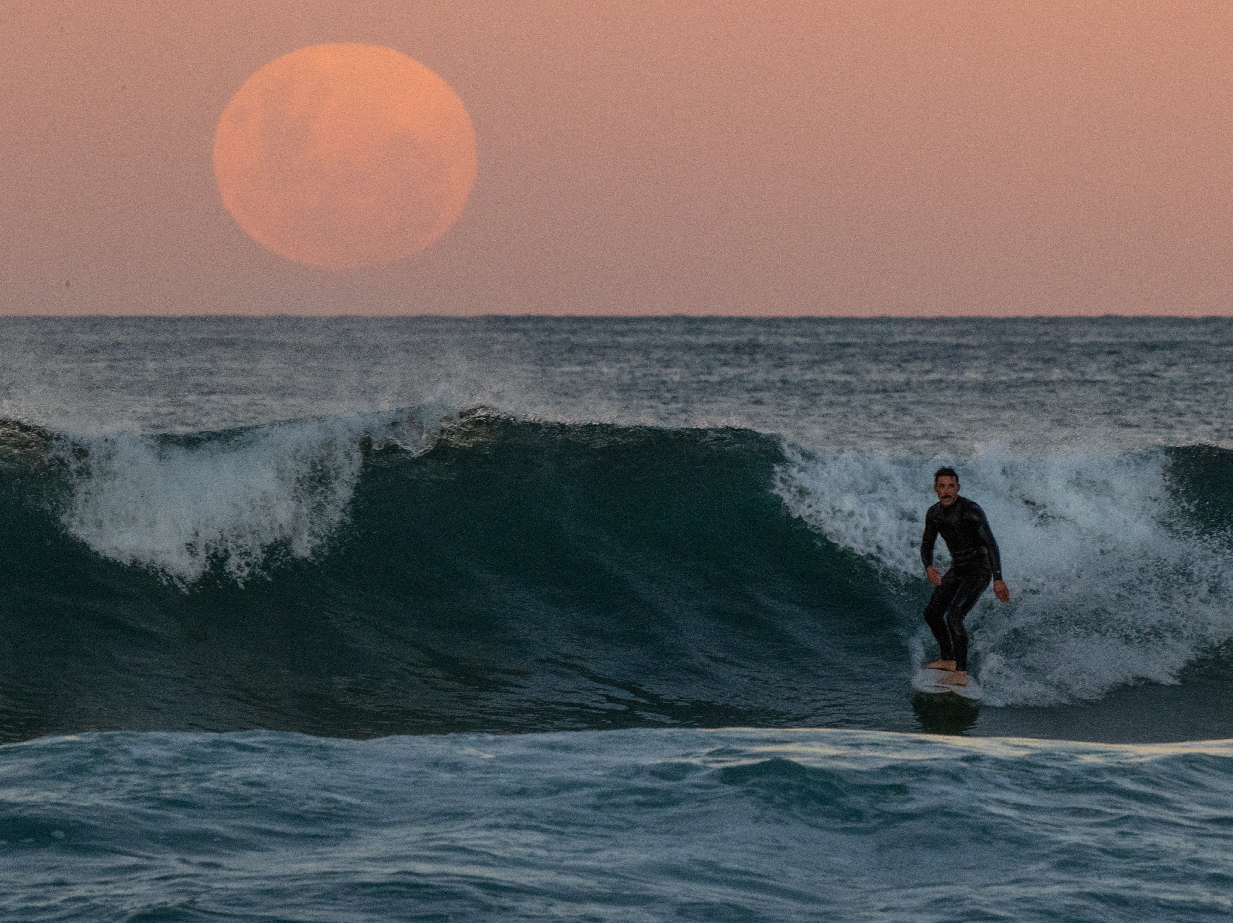 A surfer rides a wave on Manly Beach near Sydney as the supermoon looms on the horizon