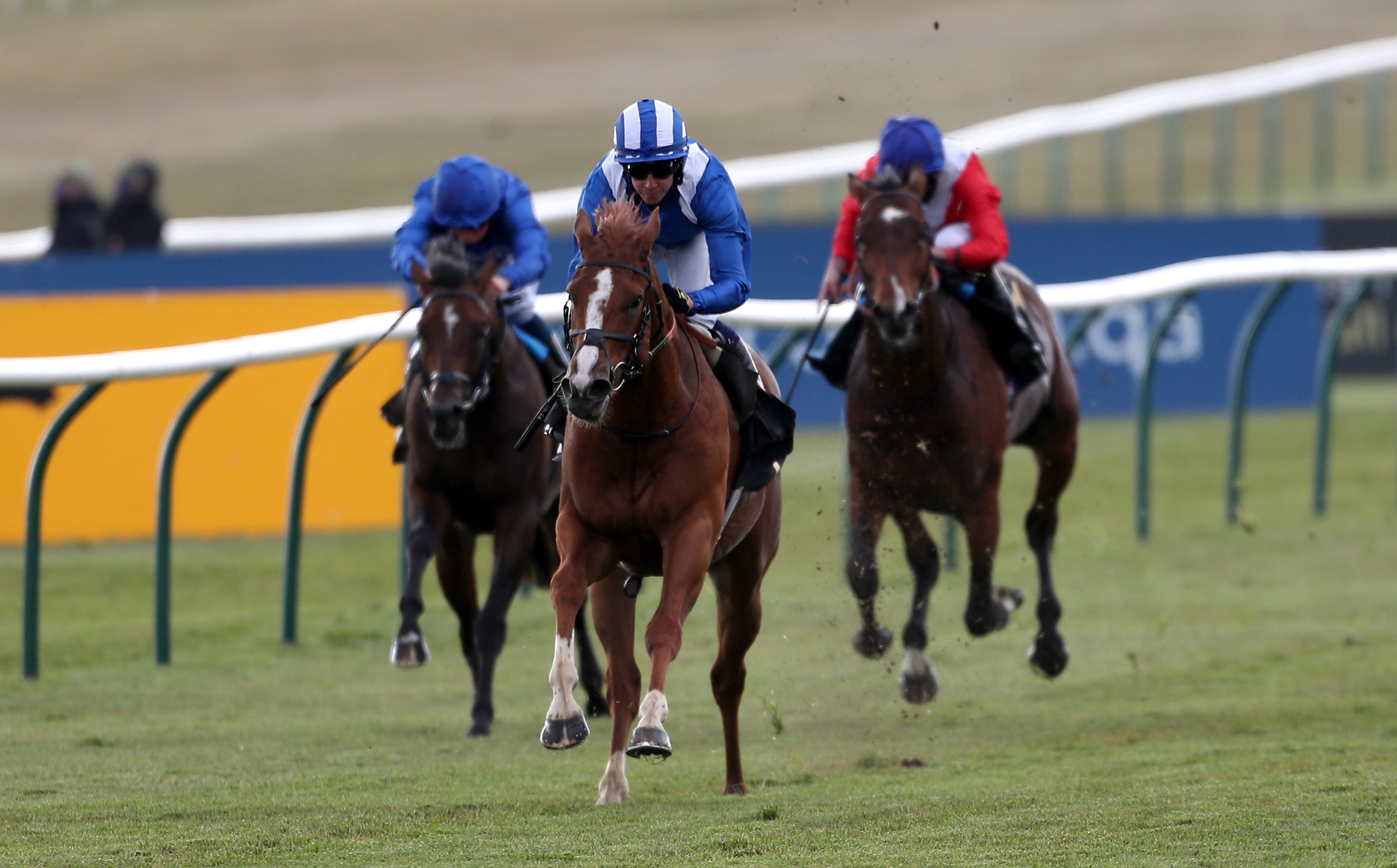 Mohaafeth was visually impressive at Newmarket