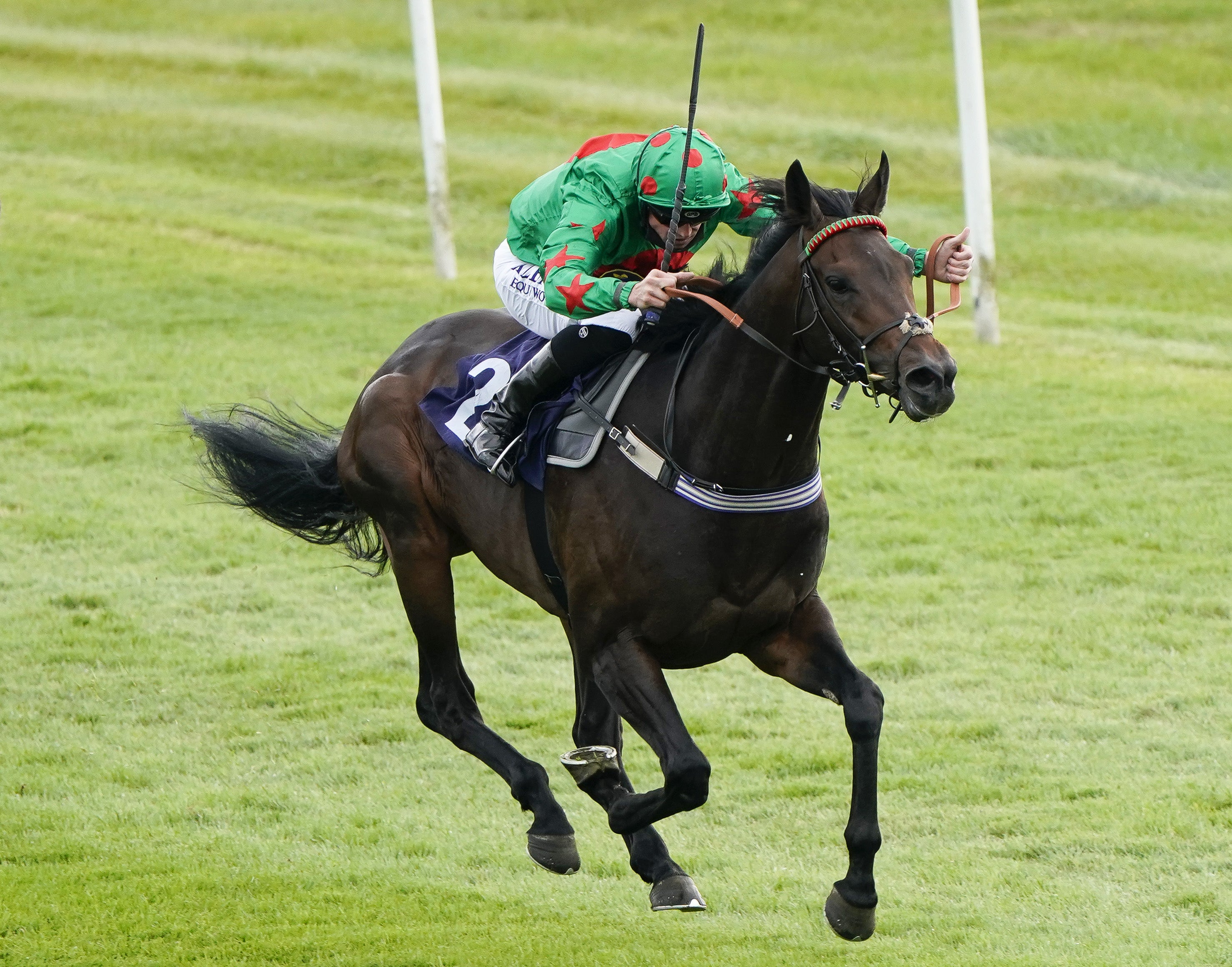 Ocean Wind runs in the Henry II Stakes at Sandown on Thursday