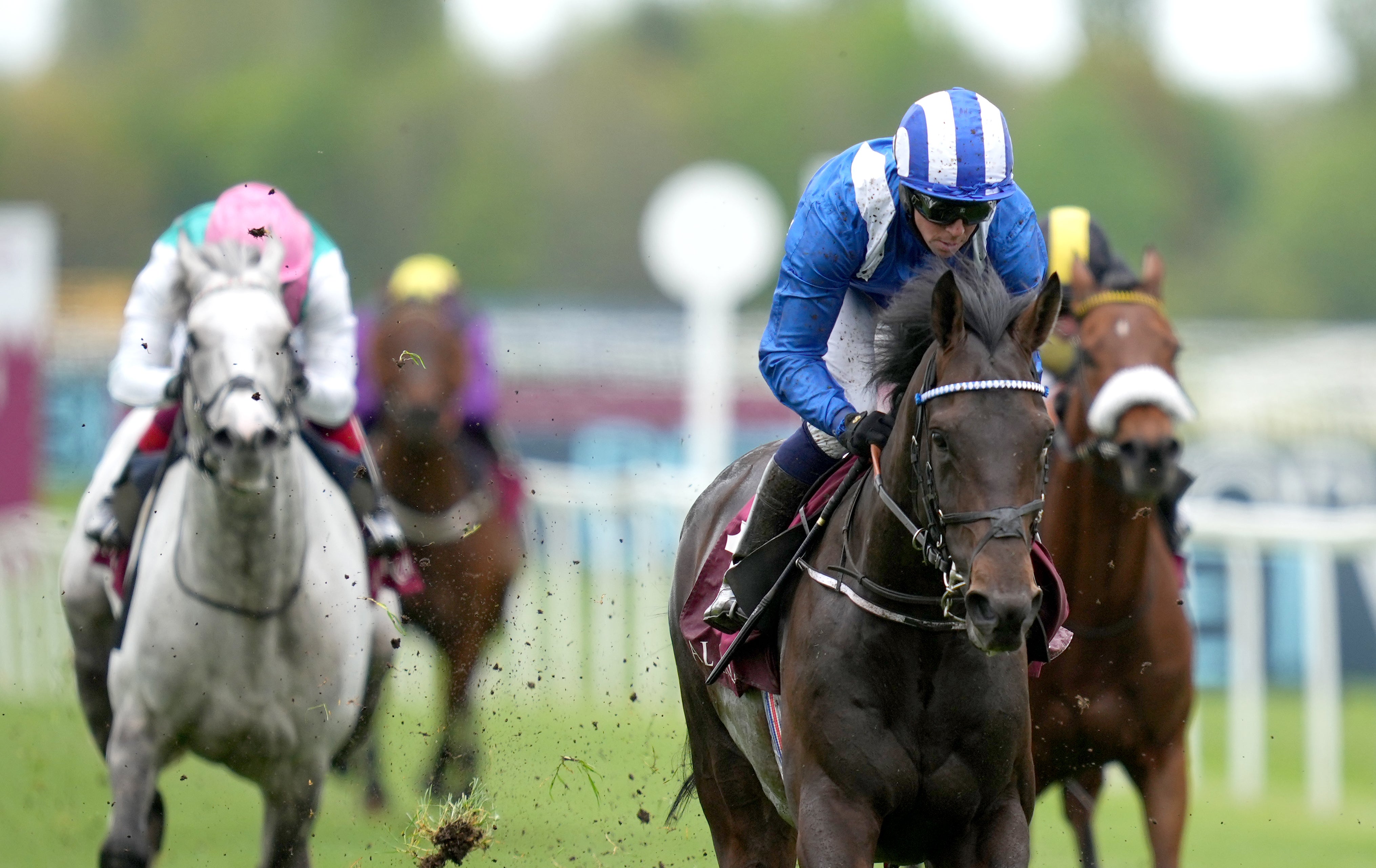 Al Aasy was hugely impressive at Newbury