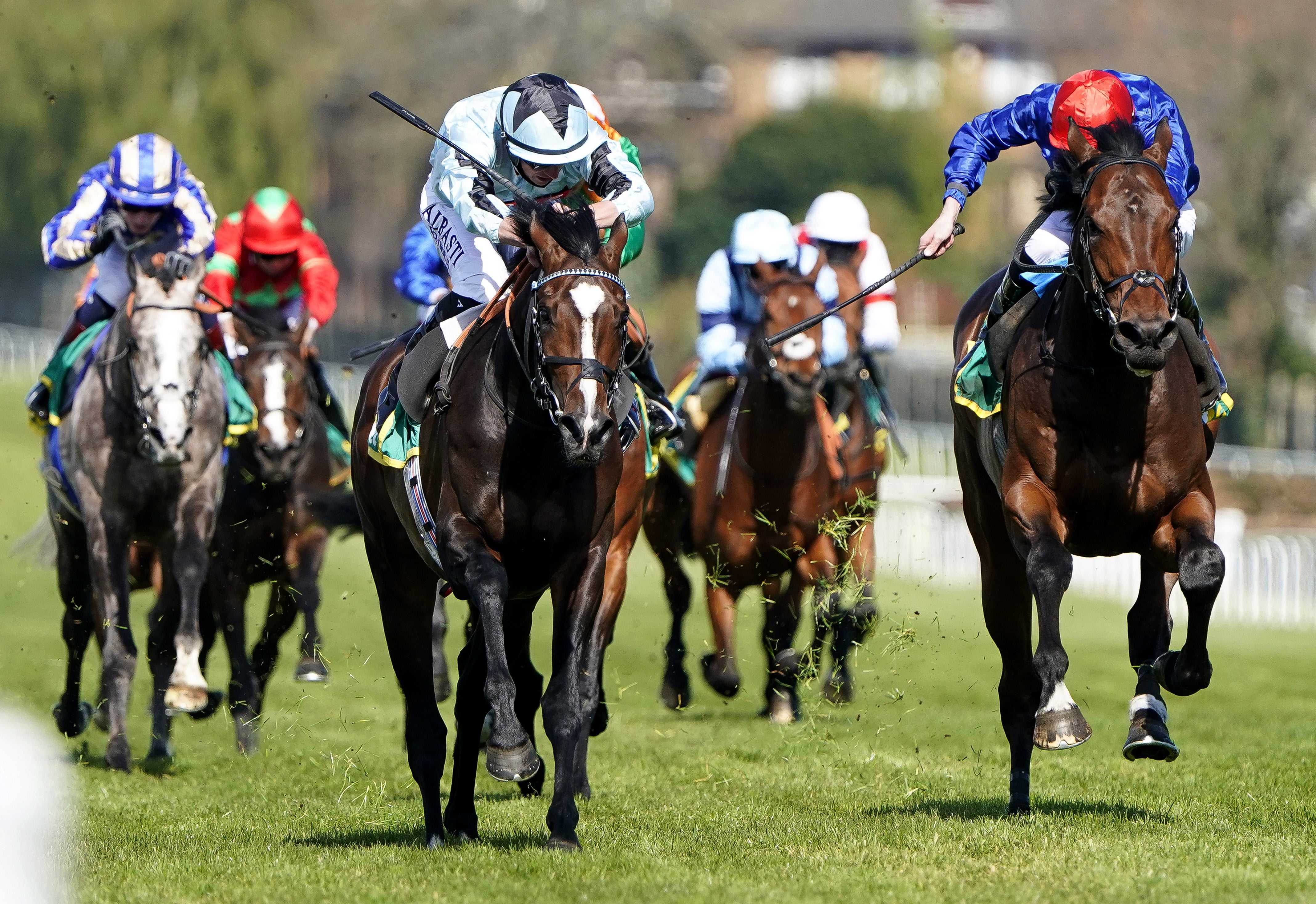 Alenquer has Ascot on his agenda