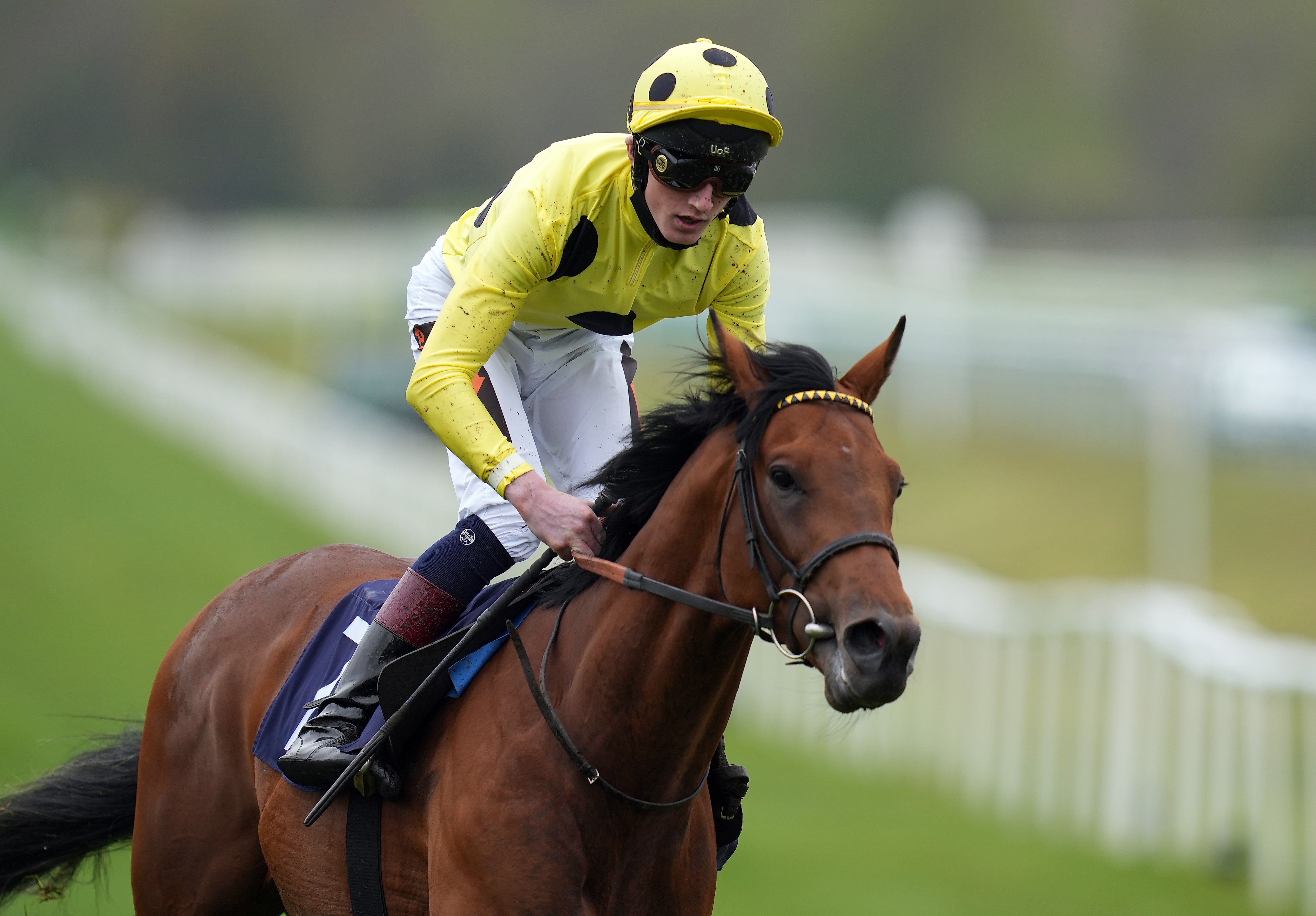 Third Realm winning the Lingfield Derby Trial