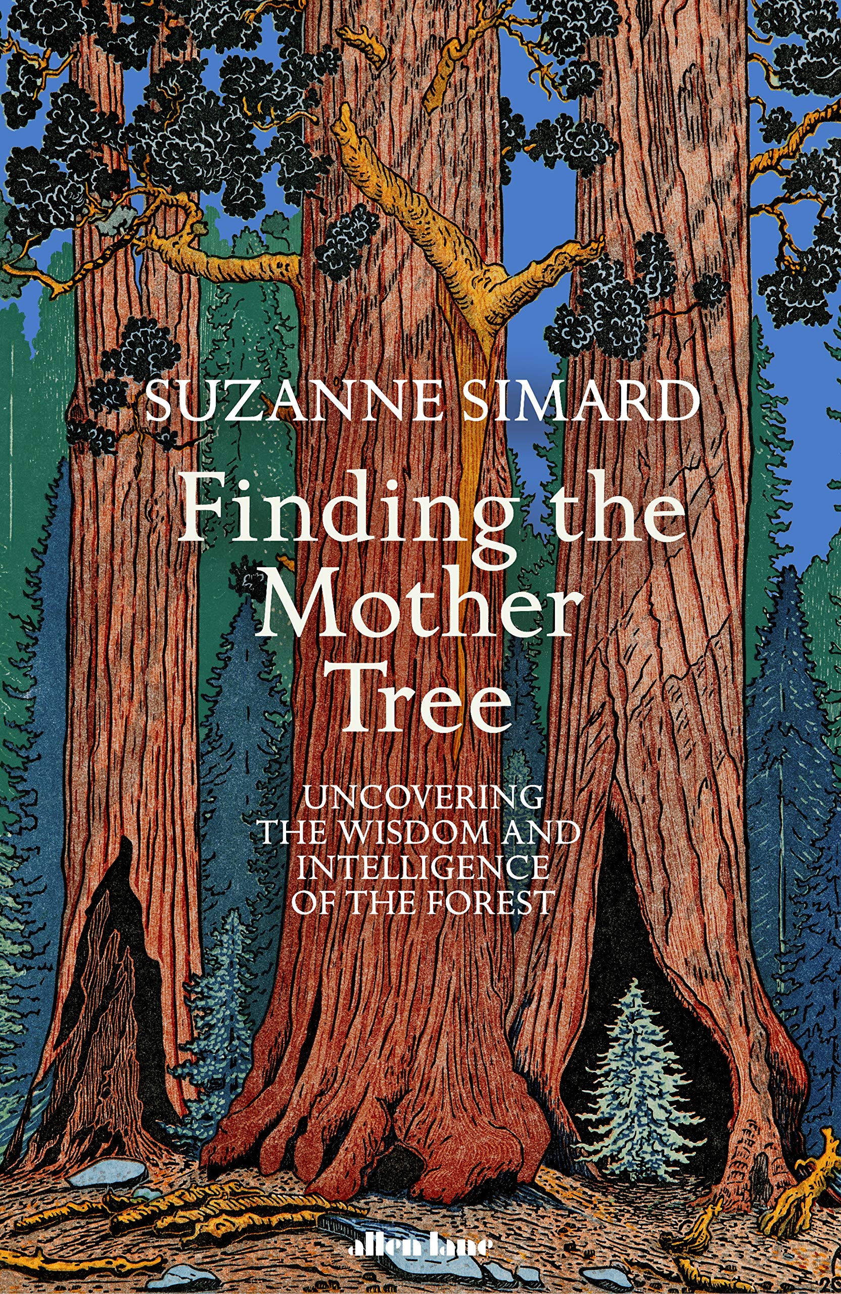 Simard’s results are so revolutionary and controversial that they have quickly worked their way into social theory, urban planning, culture and art