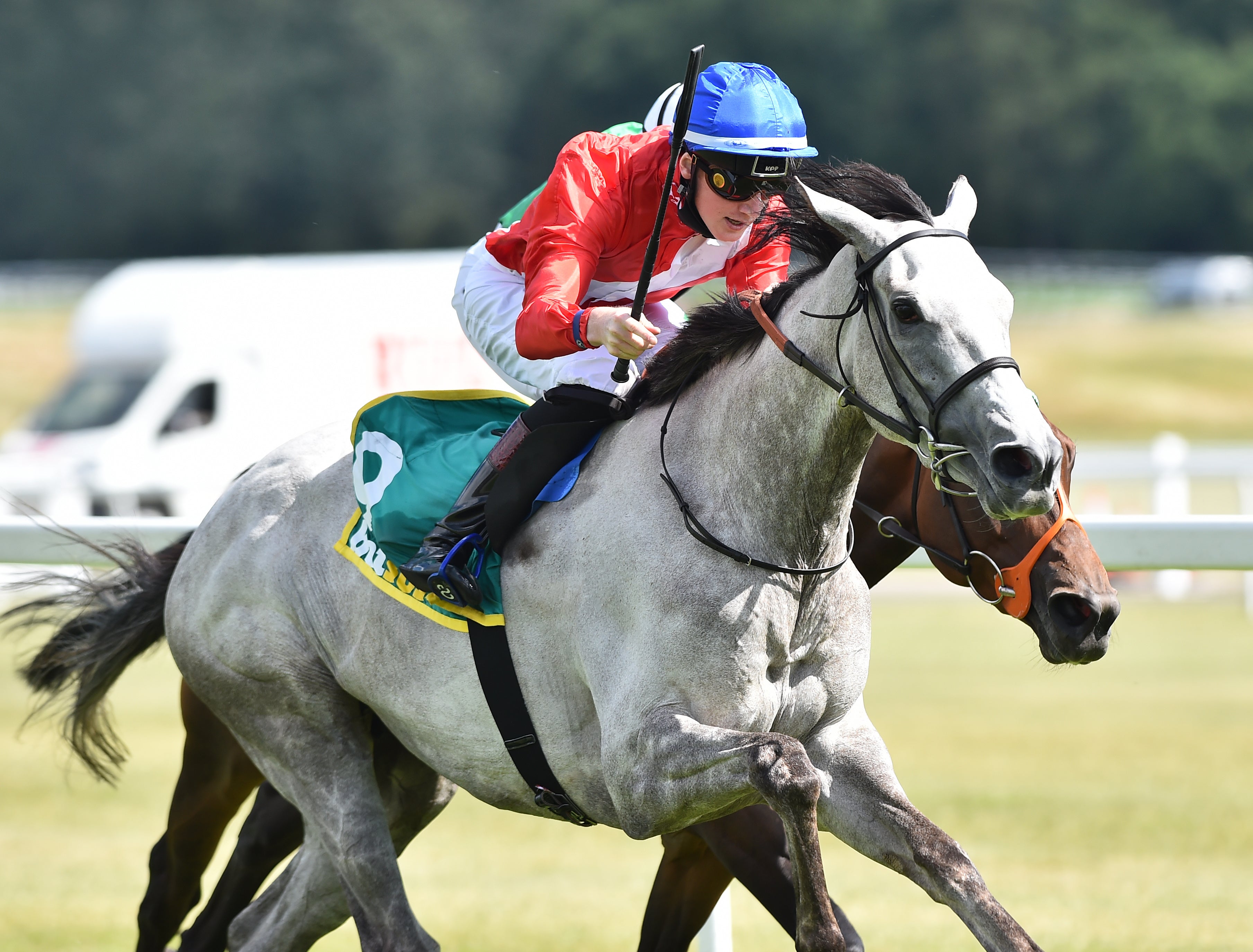 Cabaletta winning at Newbury