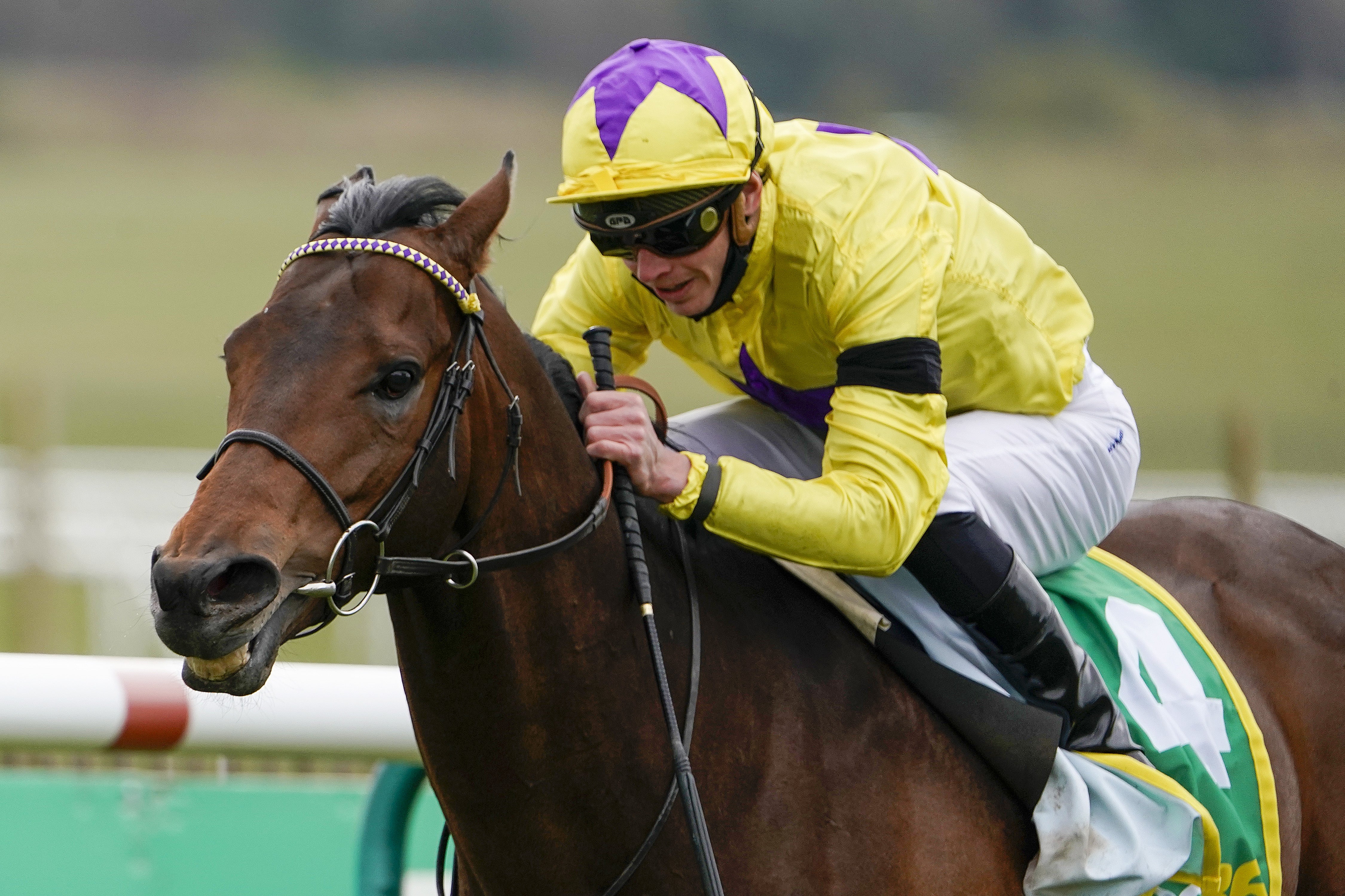 My Oberon winning the Earl of Sefton Stakes at Newmarket