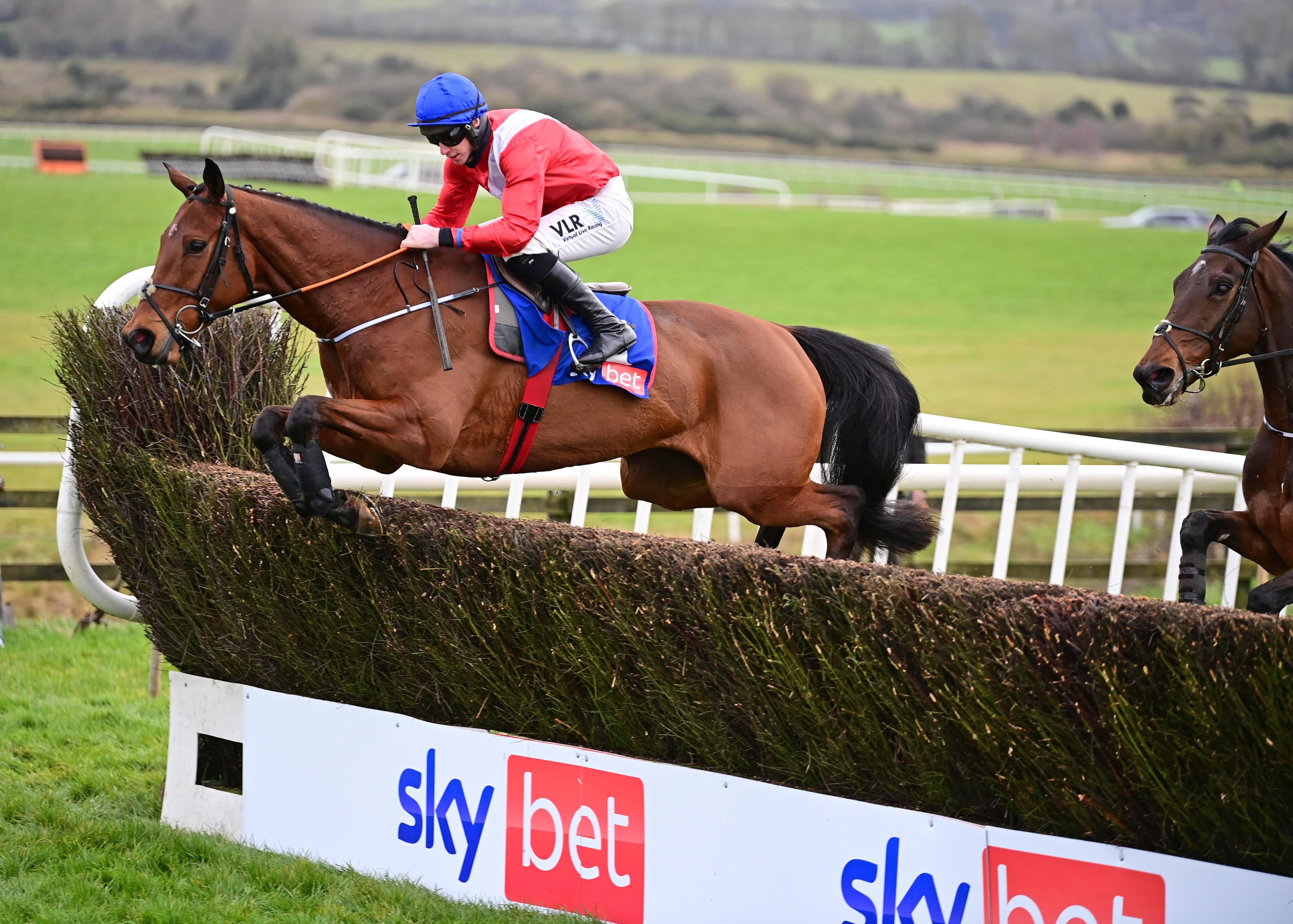 Envoi Allen in winning action at Punchestown