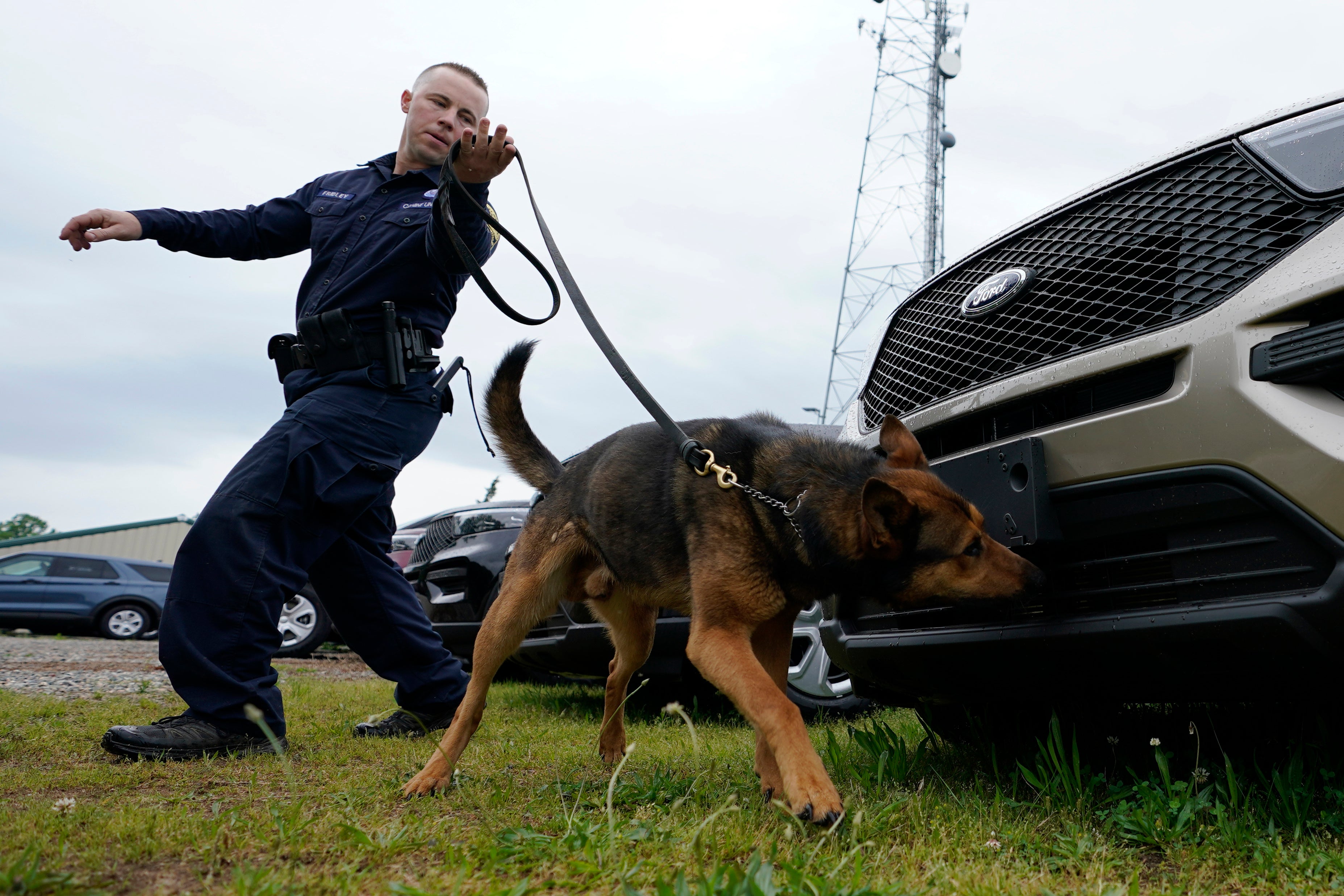 Marijuana K-9 Retirements