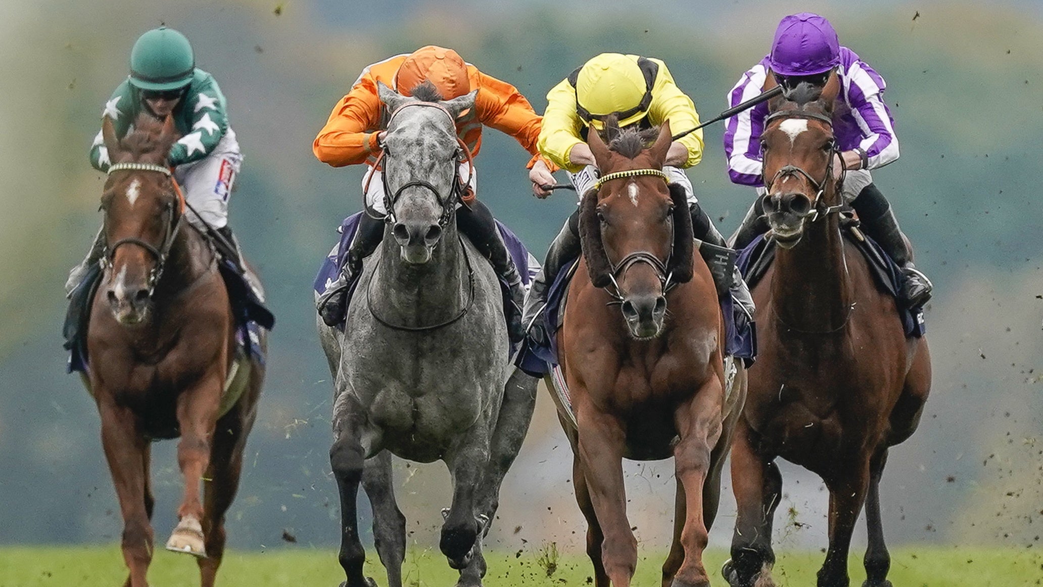 Skalleti (grey) ran a fine race in defeat at Ascot last year