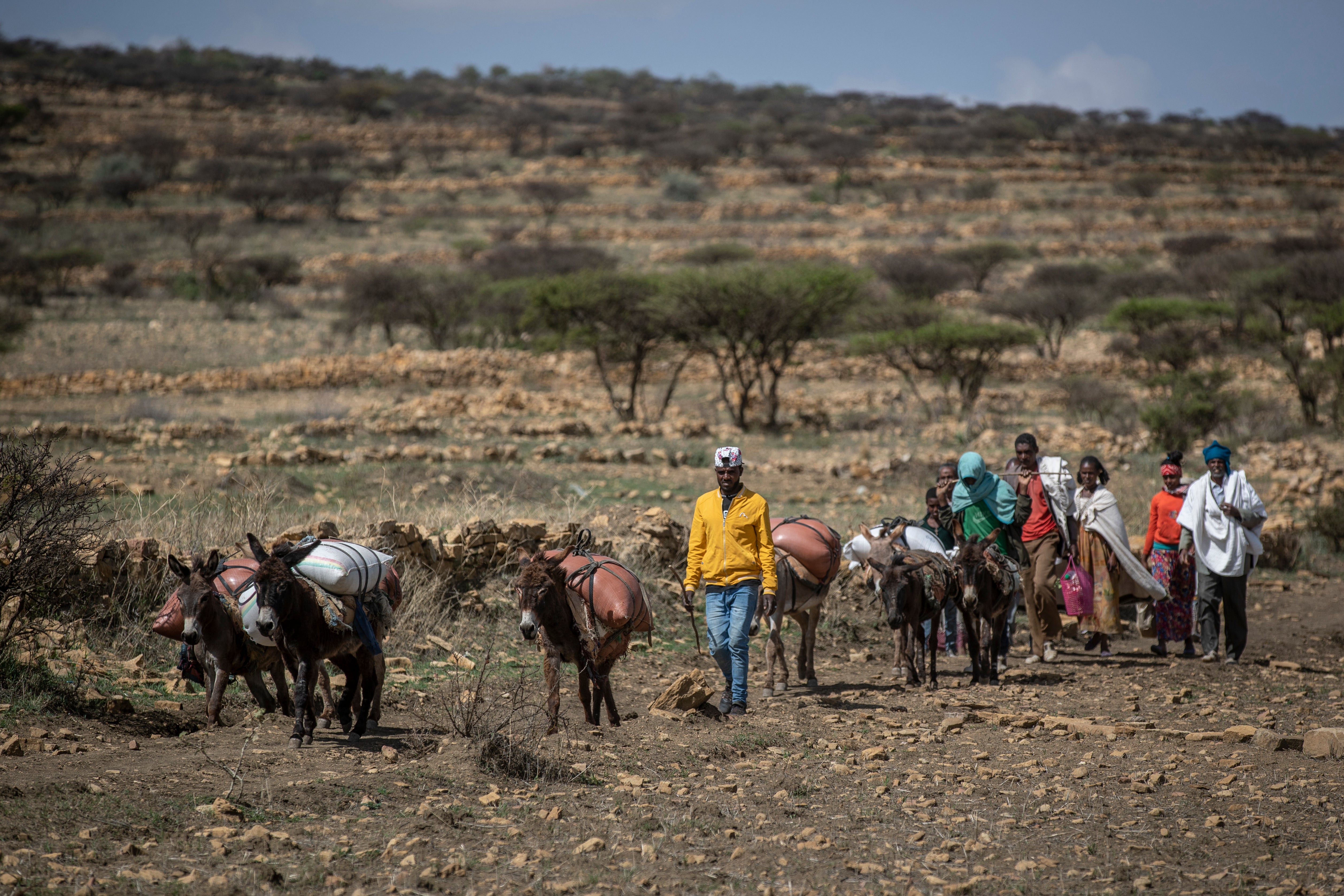 Ethiopia Tigray Eritreans in Charge