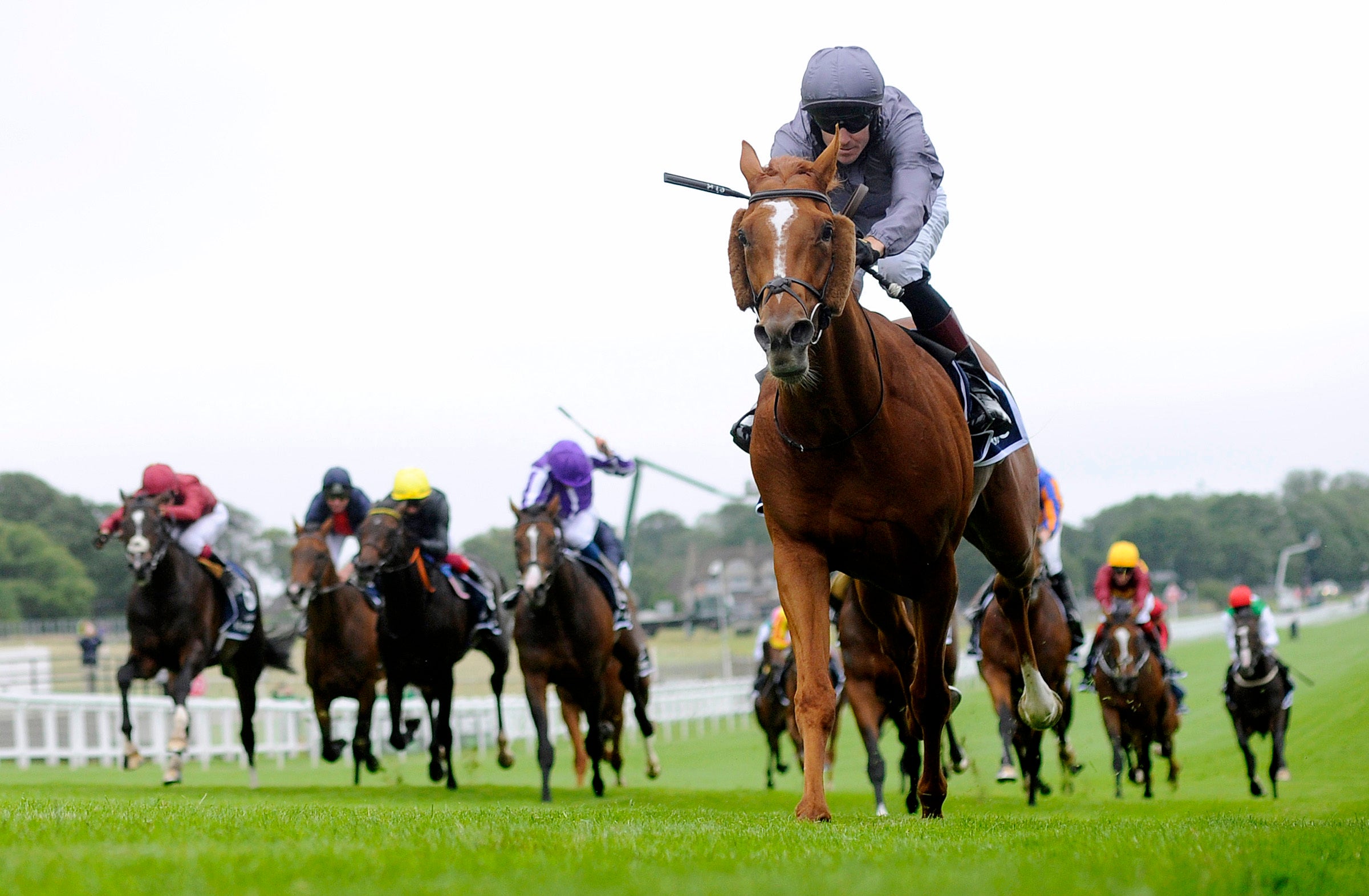 Serpentine ran away with last year's Derby