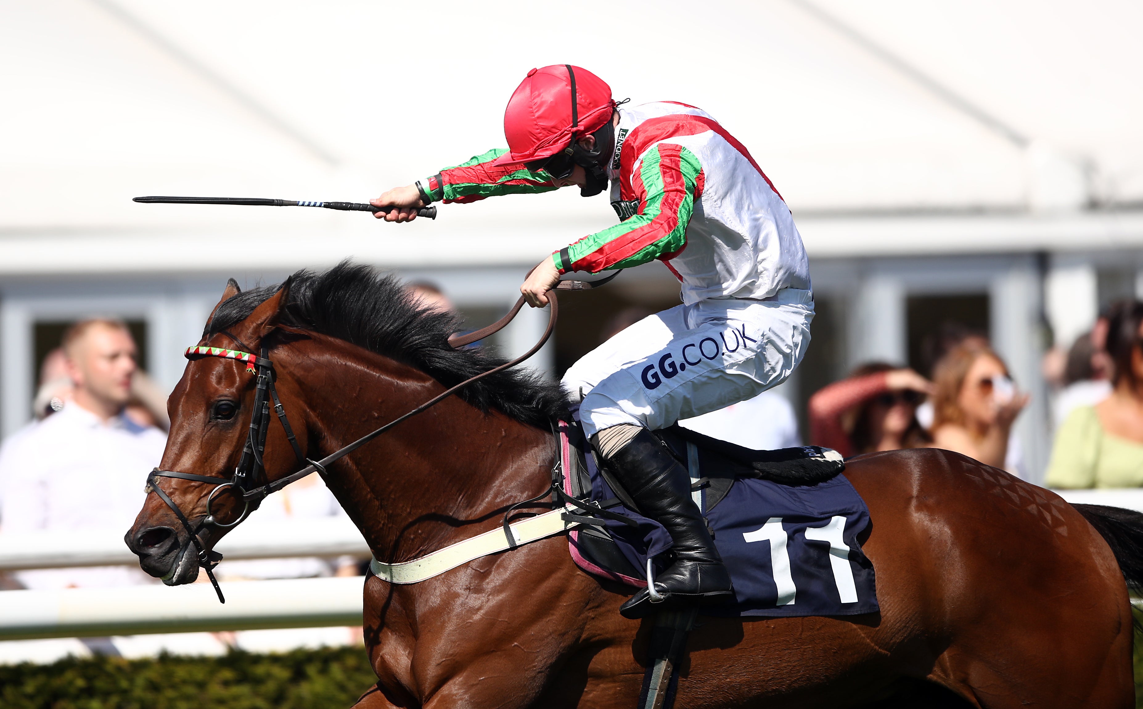 Francky Du Berlais, ridden by jockey Sean Bowen, finishes with a flourish to win the Clarke Chase at Uttoxeter (Tim Goode/PA)