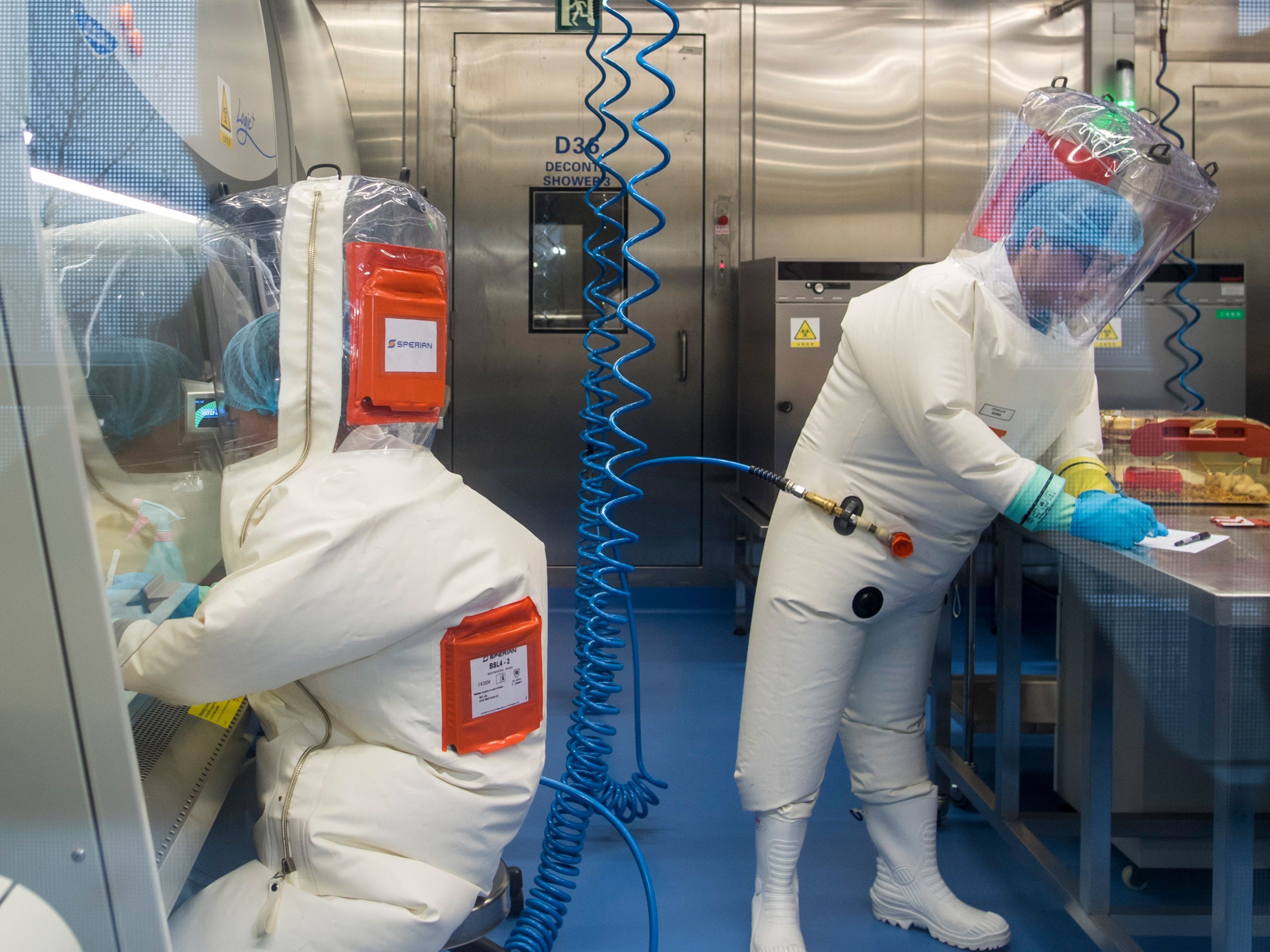 Workers are seen next to a cage with mice inside the P4 laboratory in Wuhan